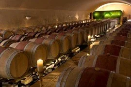 Wine cellar with rows of wooden wine barrels stored on racks.