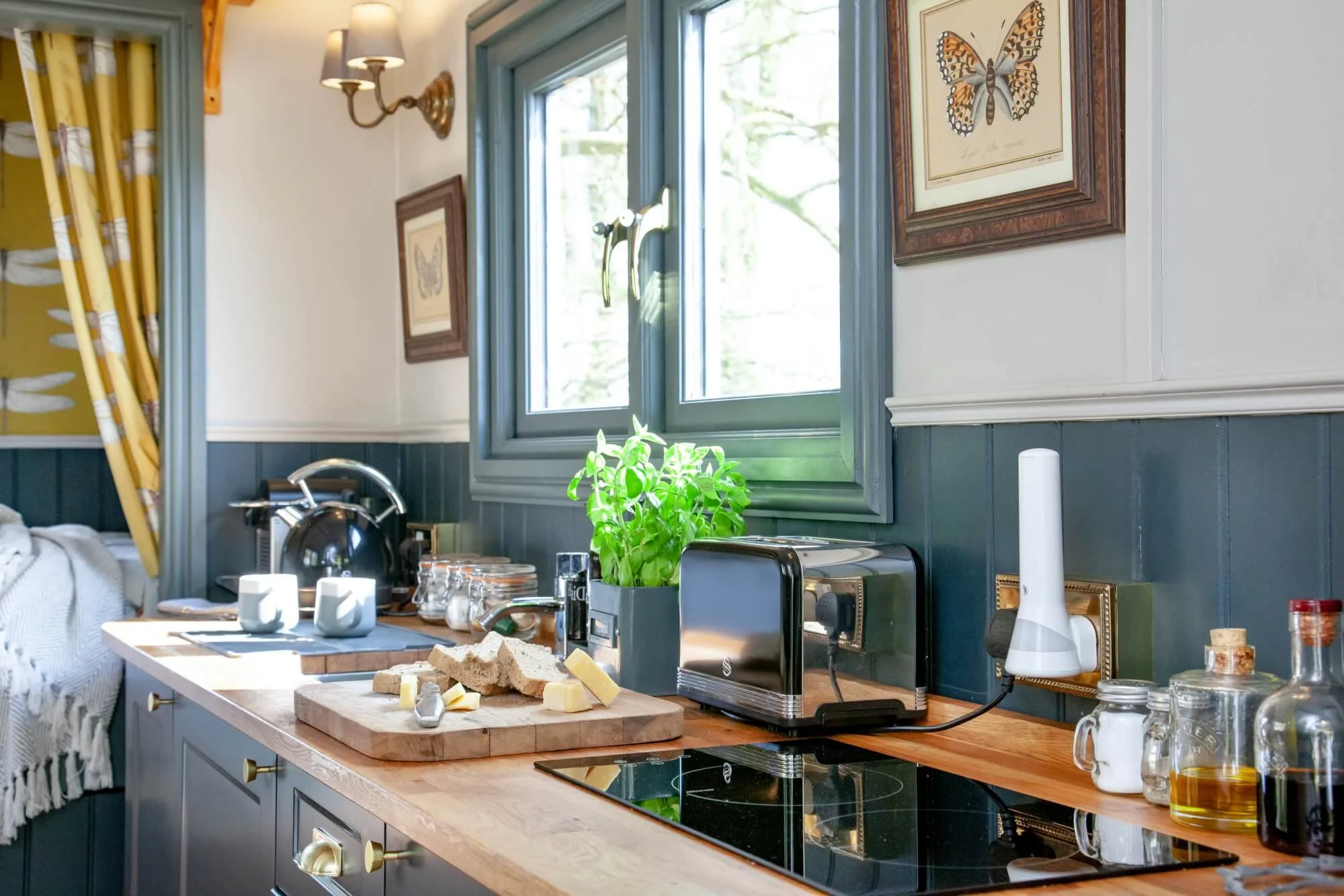 Kitchen counter with bread, cheese, and a potted plant next to a toaster, glasses, and bottles, above dark green wainscoting and a window, with framed butterfly artworks on the wall.