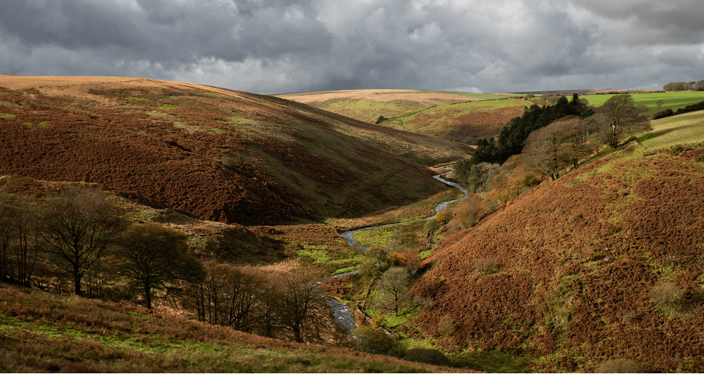 Rolling hills with a winding river running through a valley, sparse trees, and cloudy sky.