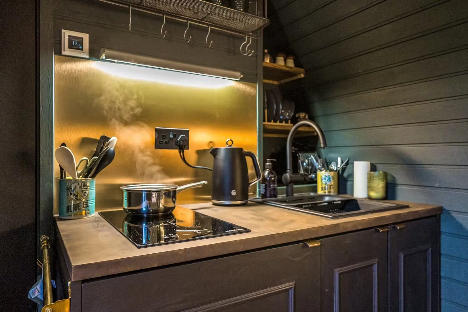 Small kitchen area with a stovetop, kettle, and sink, with dark cabinetry and horizontal wood paneling on the wall.