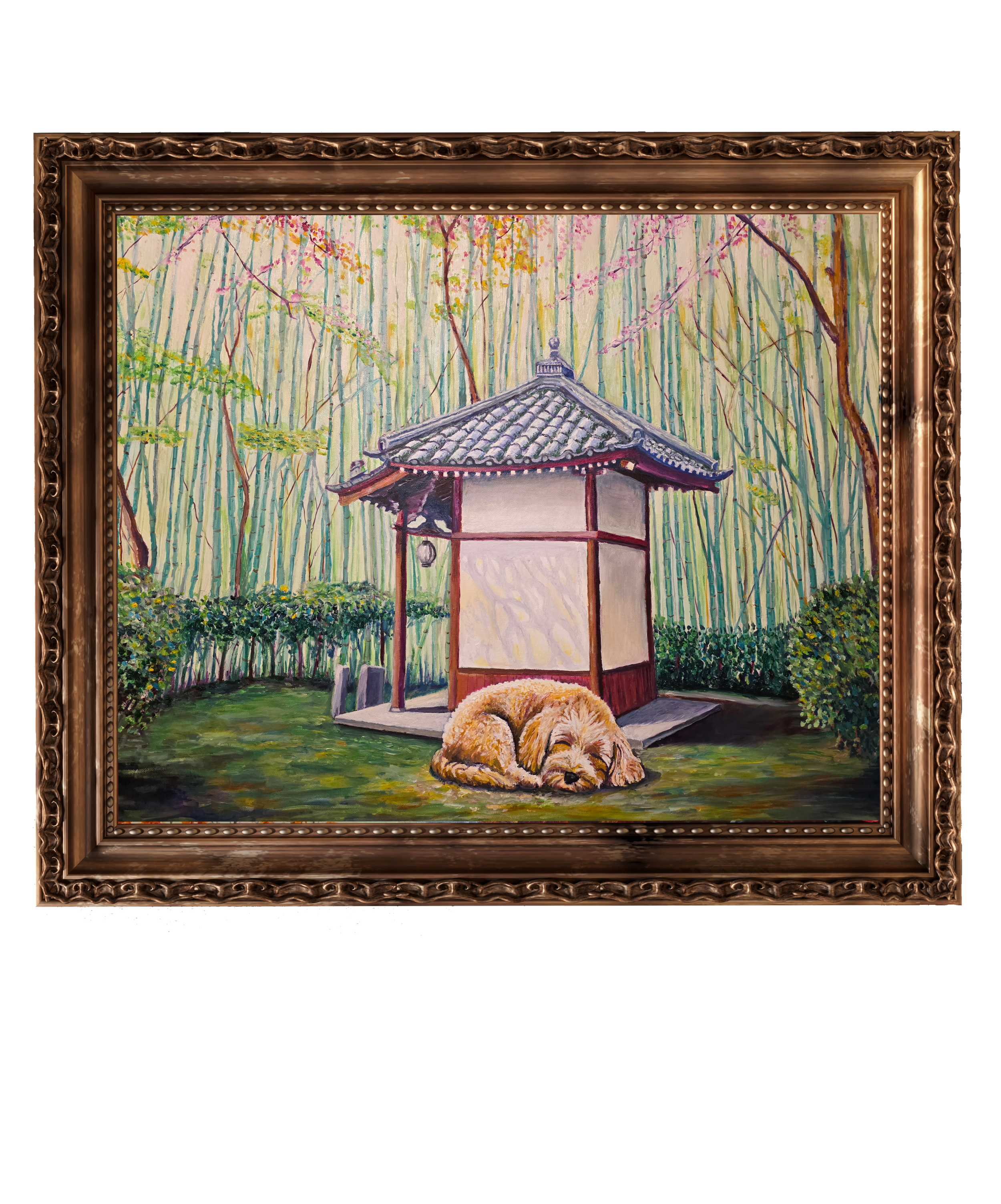 Upcoming - Cavapoo Yasumi III of X