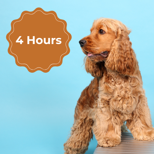 Extended Dog Care Visit (4 Hours)