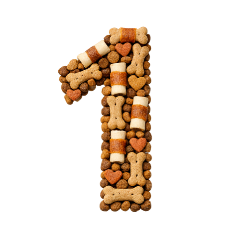 Number one made of dog treats in different shapes and colors.