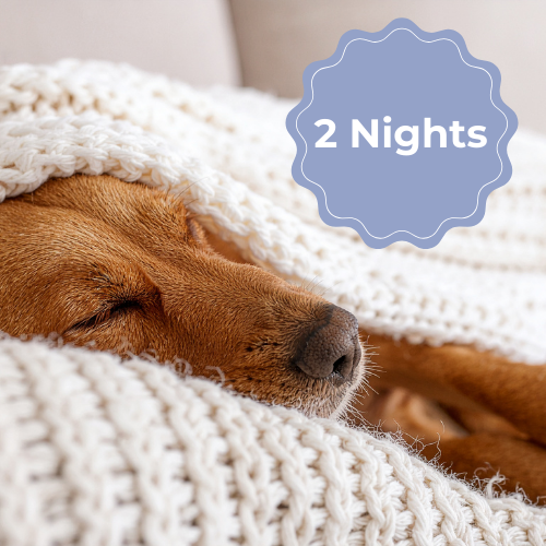 Overnight Dog Care (2 Nights)