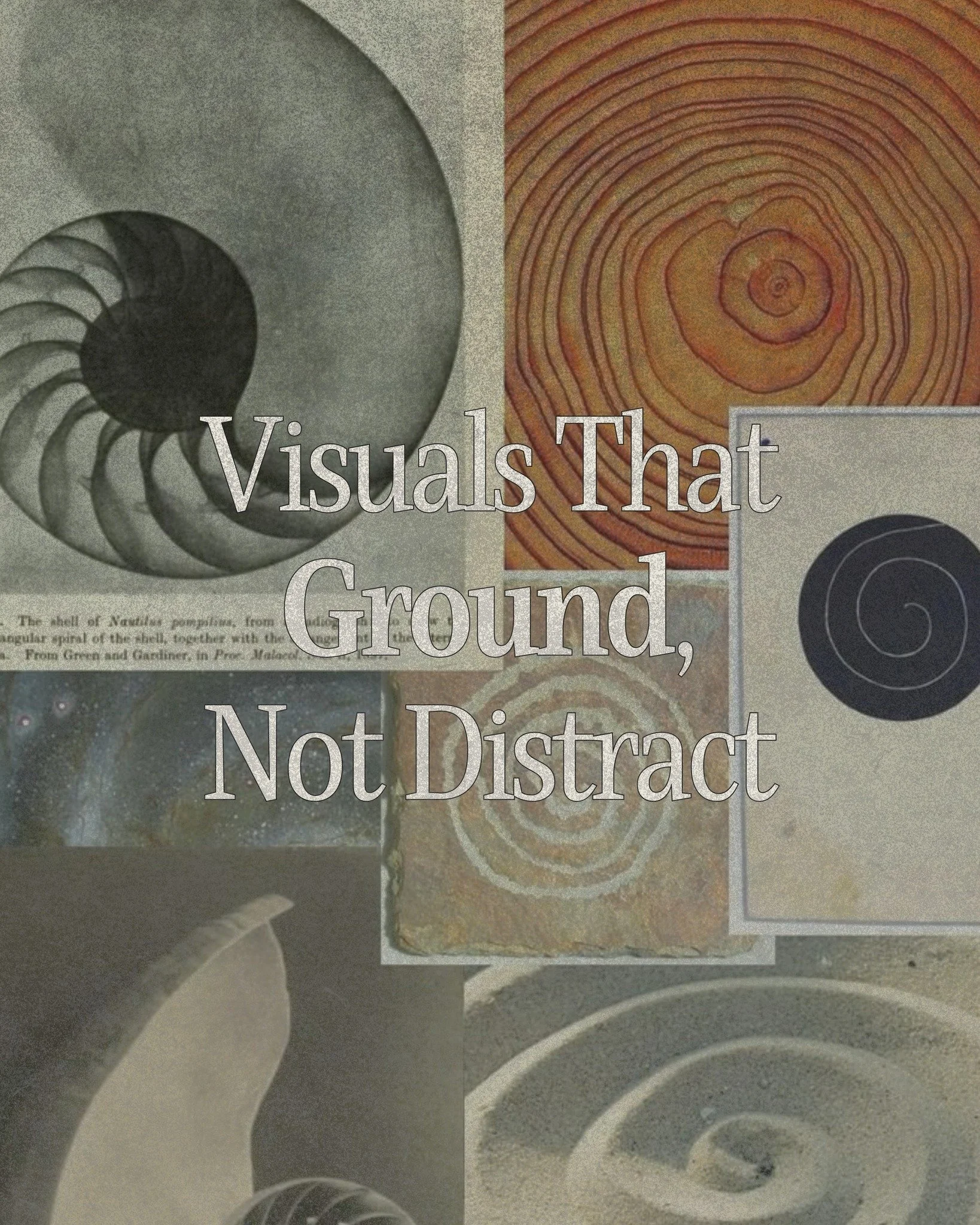 What does your brand feel like?
Not what it looks like. Not what it says.
What does it feel like?

These are the visuals that answer that question&mdash;rooted, present, intentional.
For brands that exist to serve, to heal, to nourish, to create with
