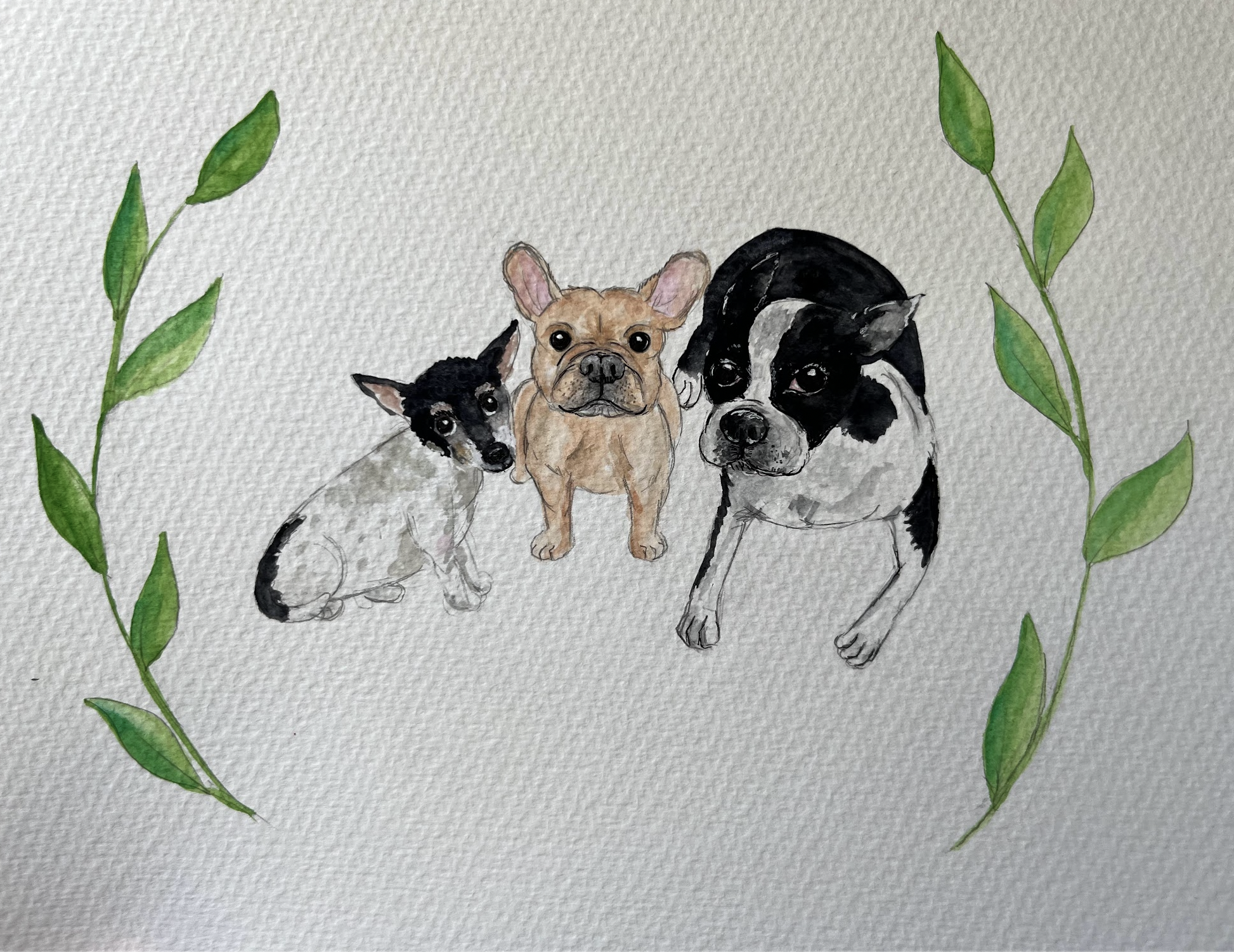 Screenshot 2026-02-19 at 8.26.52 PM.png