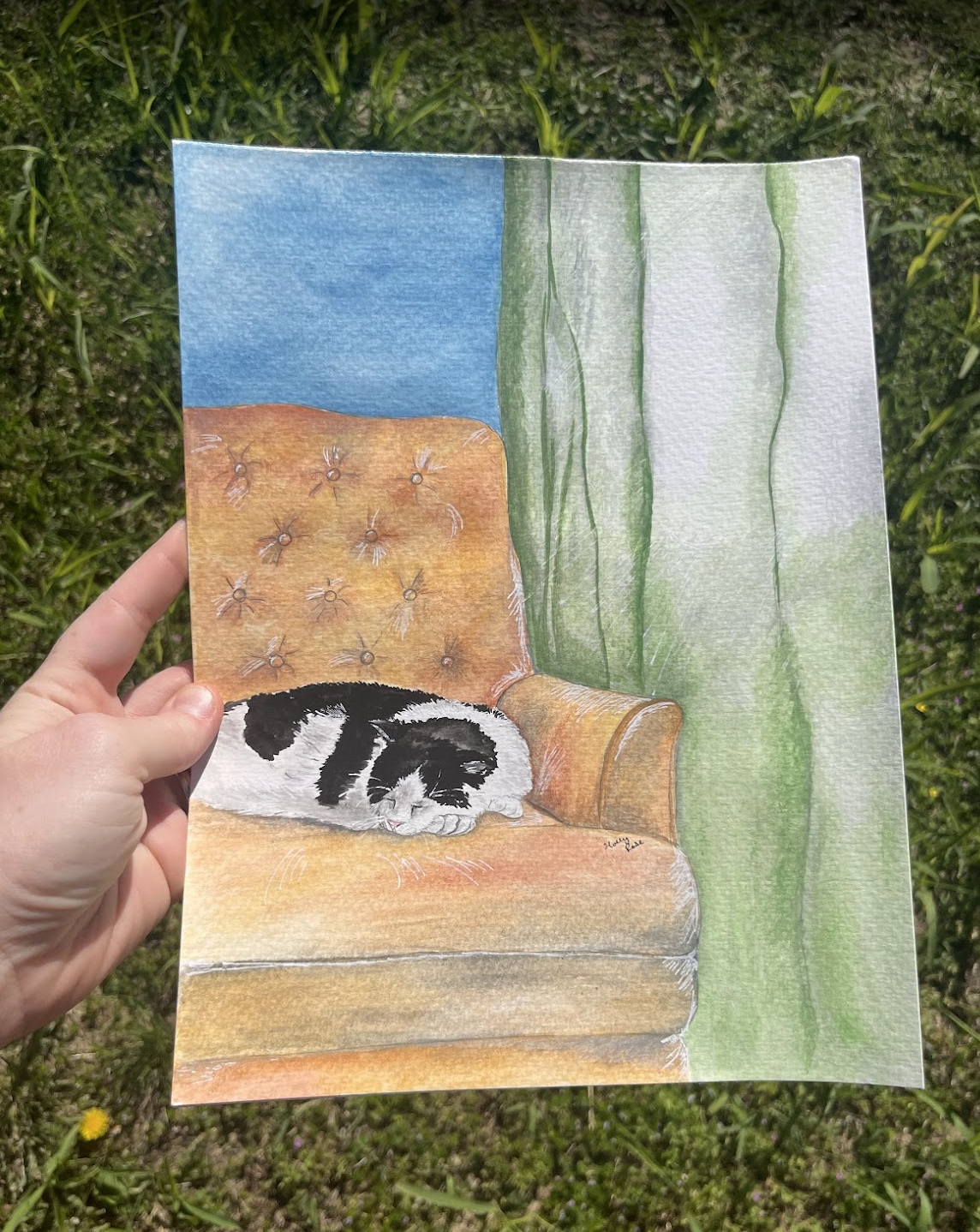 Watercolor Pet Portrait