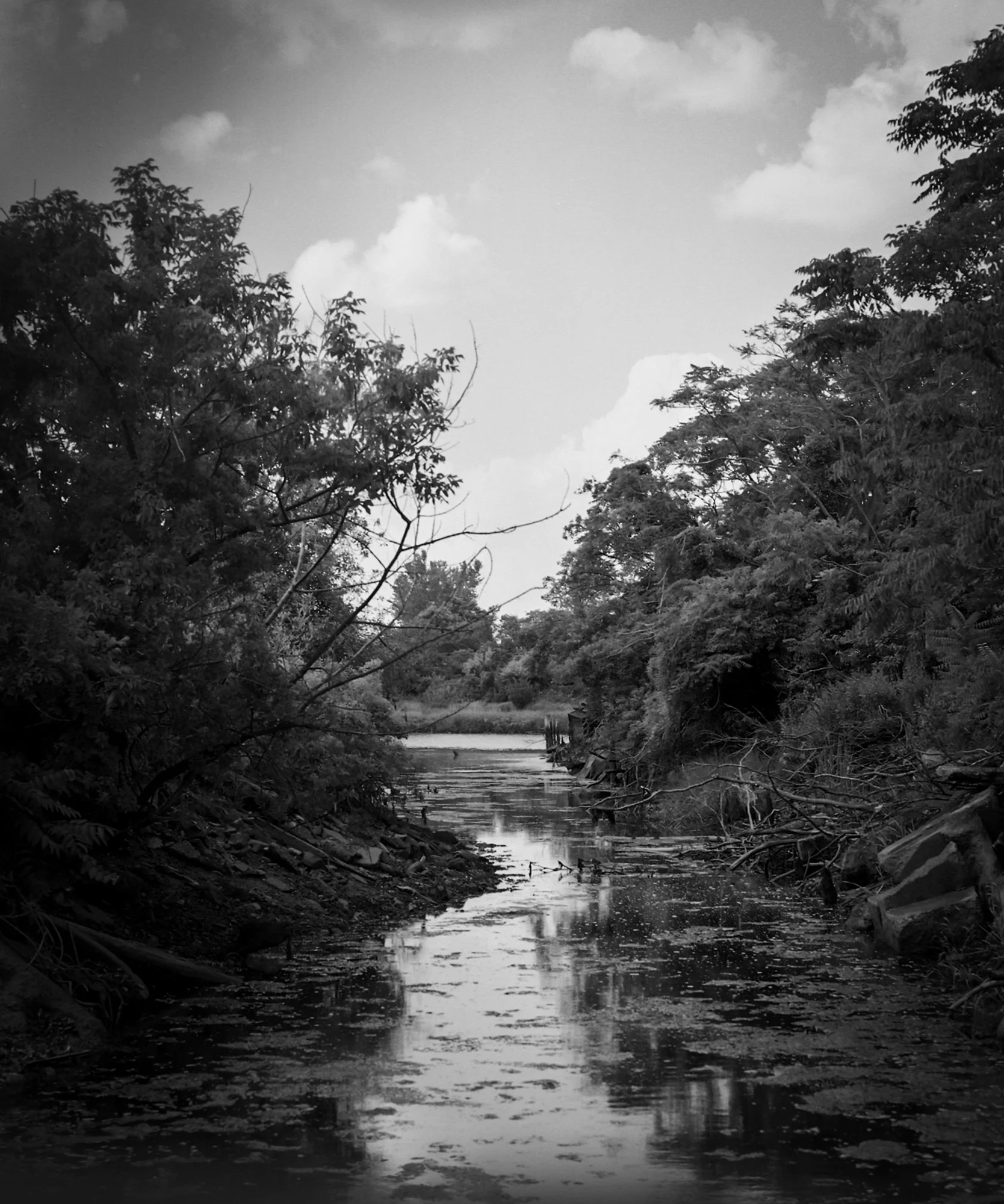 img018.jpg