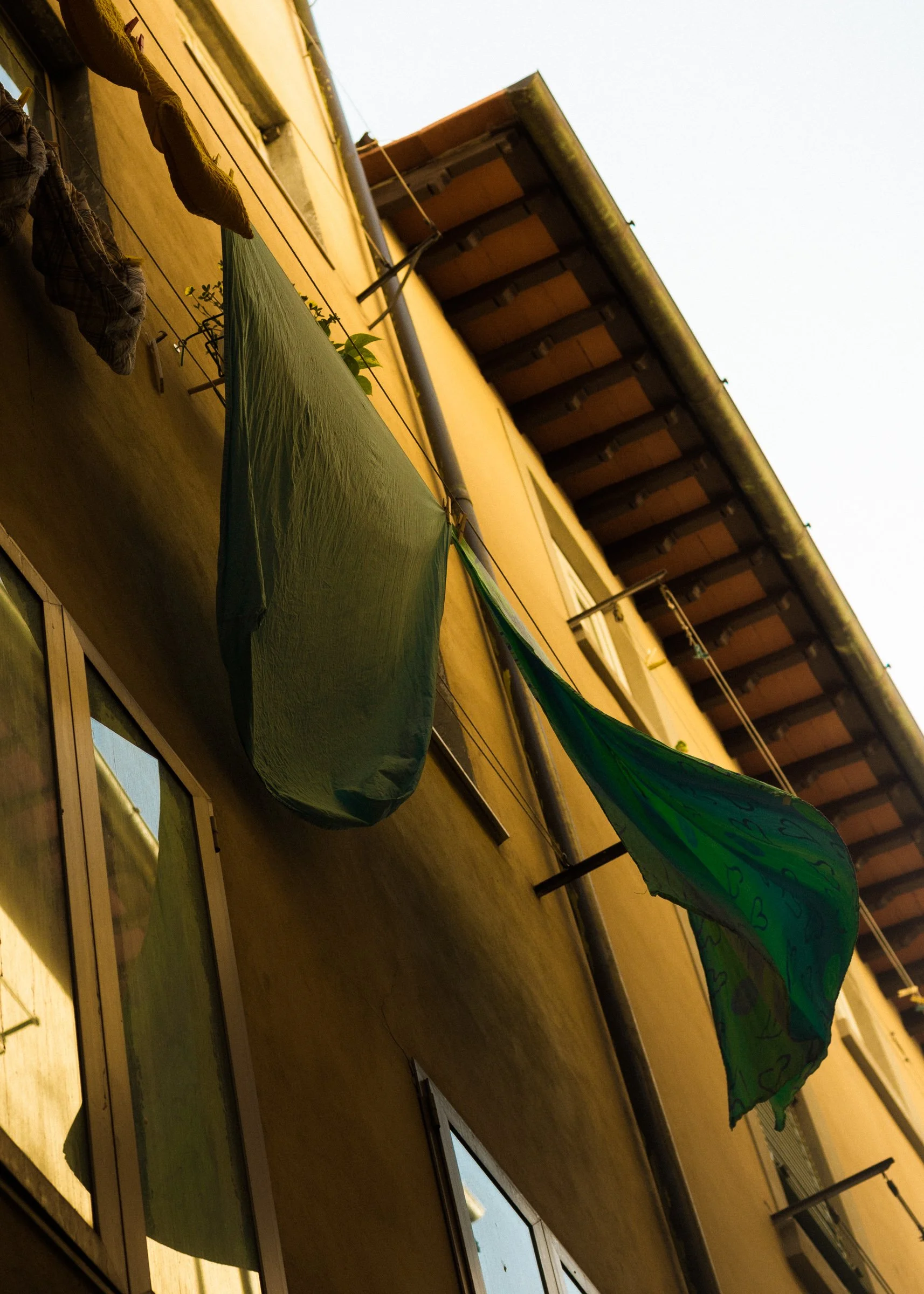 IMGL9747.jpg