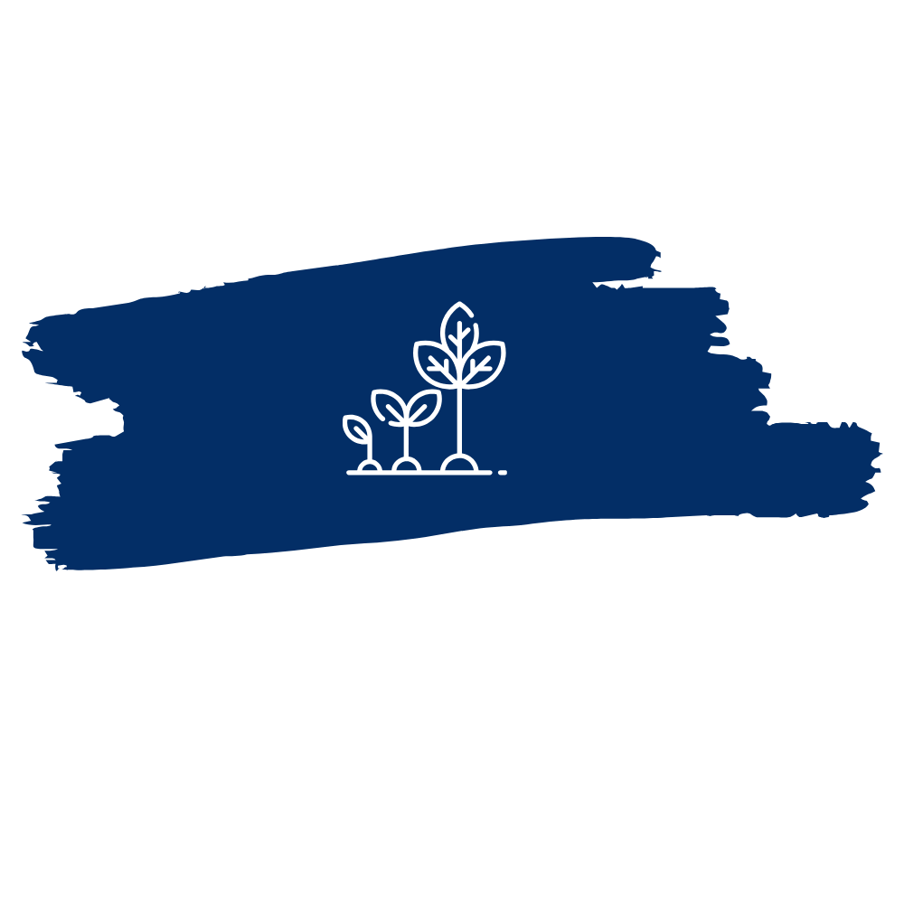 egd paint stroke graphic for growth.