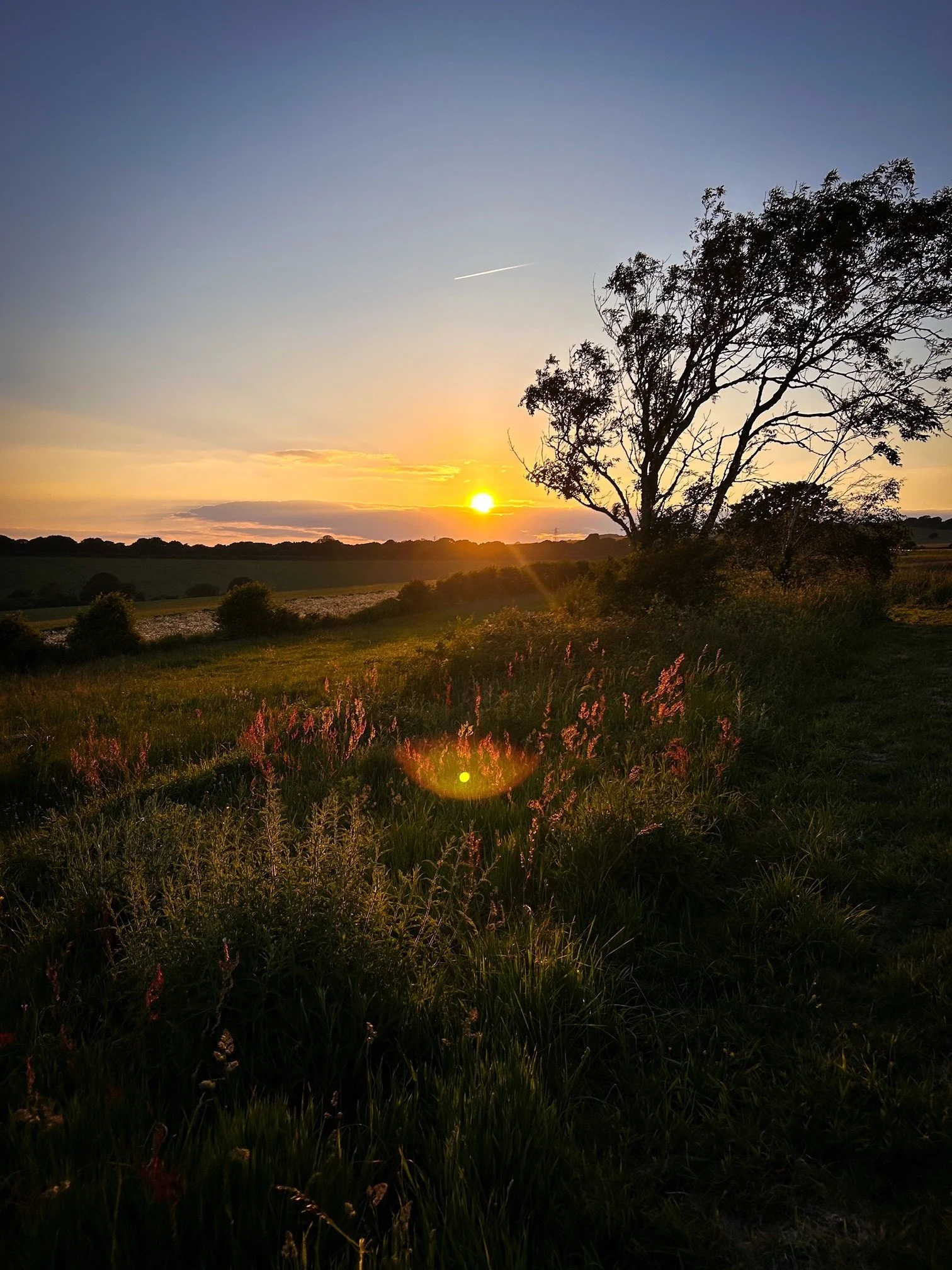 When Peace Feels Wrong Before It Feels Right&nbsp;&nbsp;