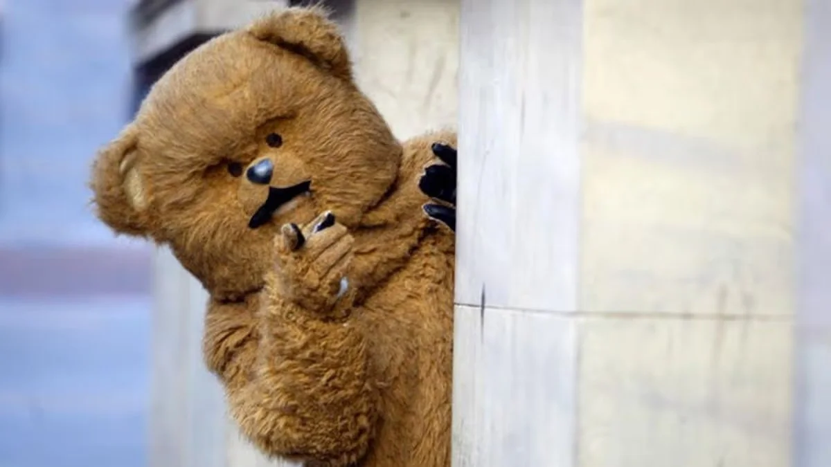 Welcome to the Bungle