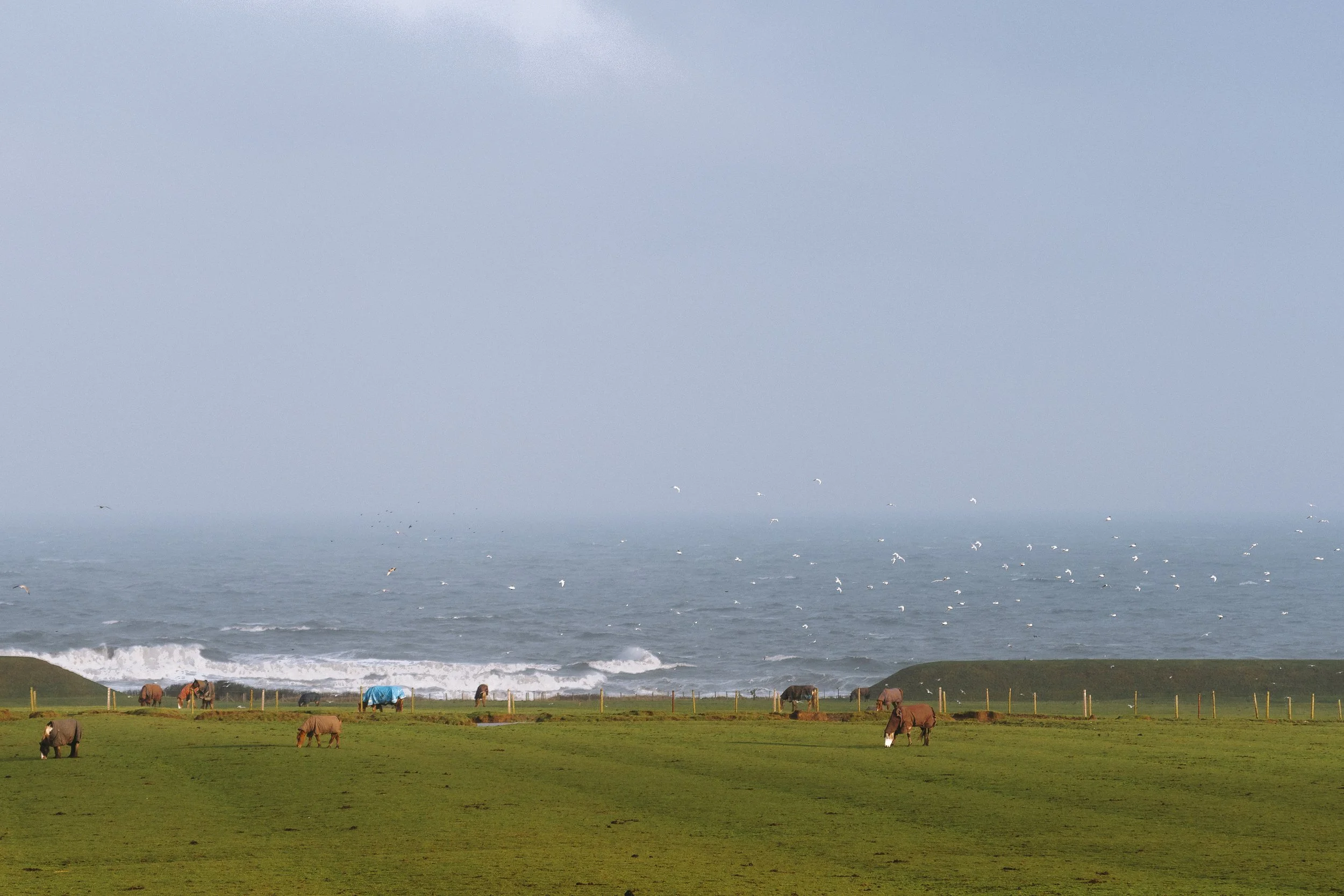 Whitburn 24th Jan 26 2-1.jpg