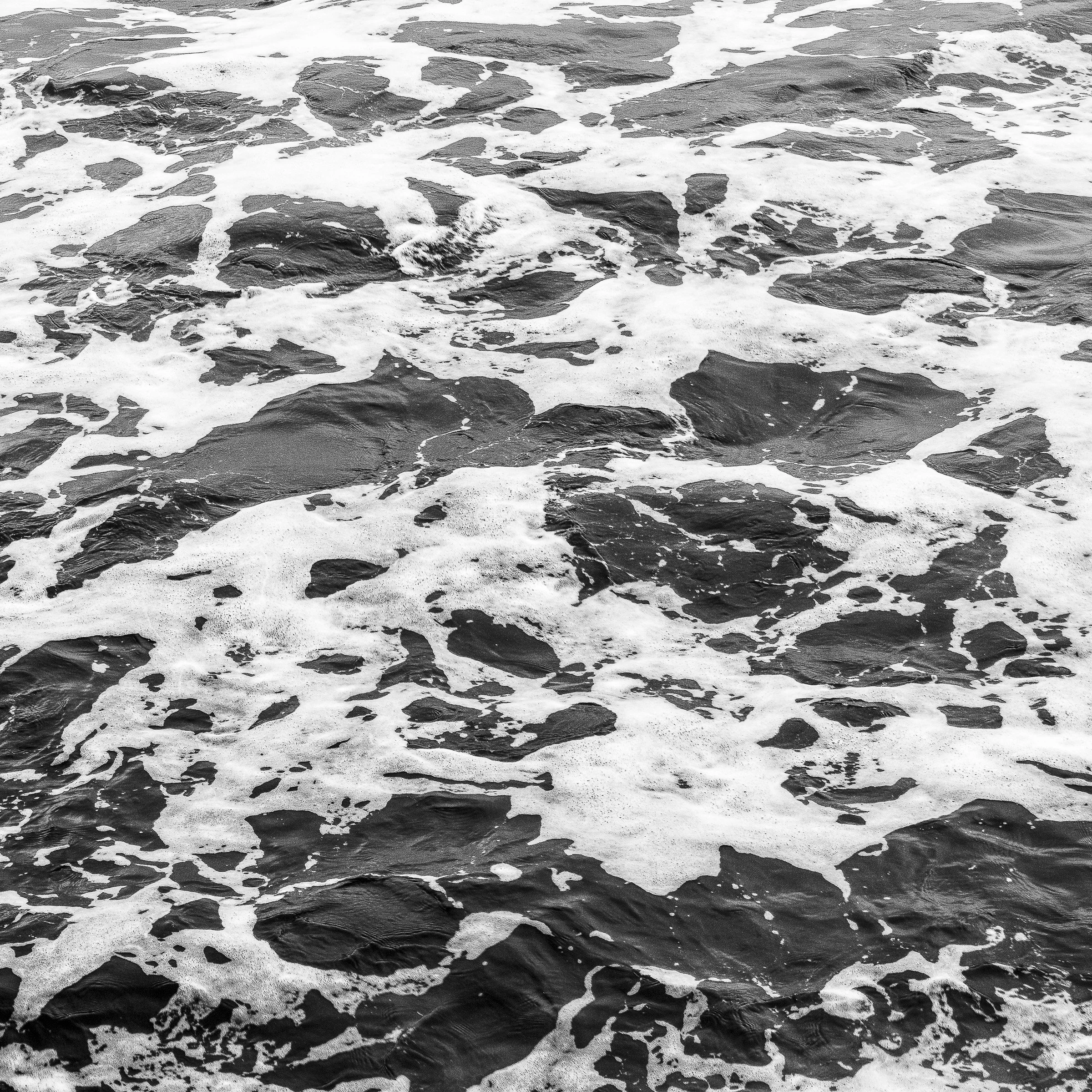 In Contrast JPEG-3.jpg