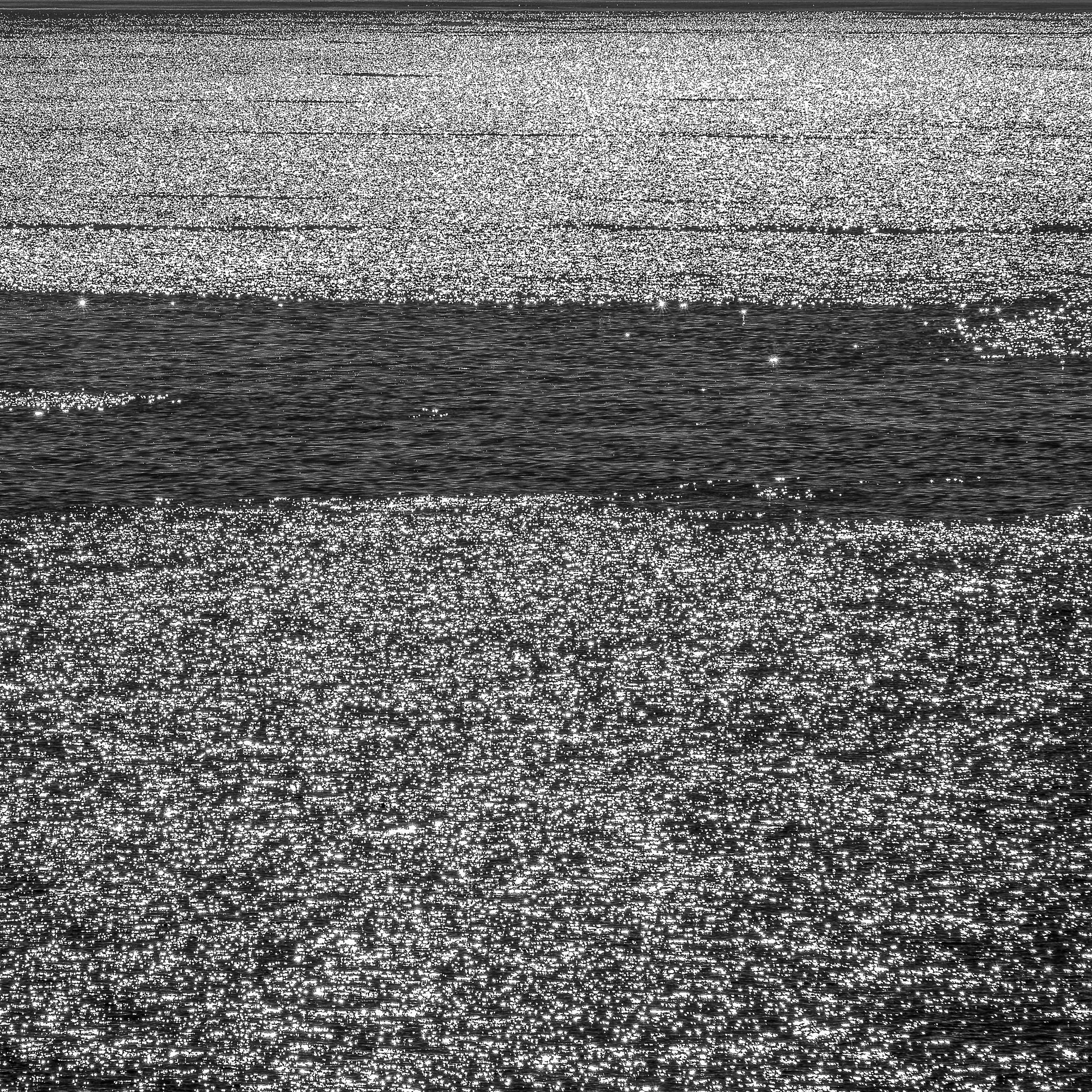 In Contrast JPEG-4.jpg