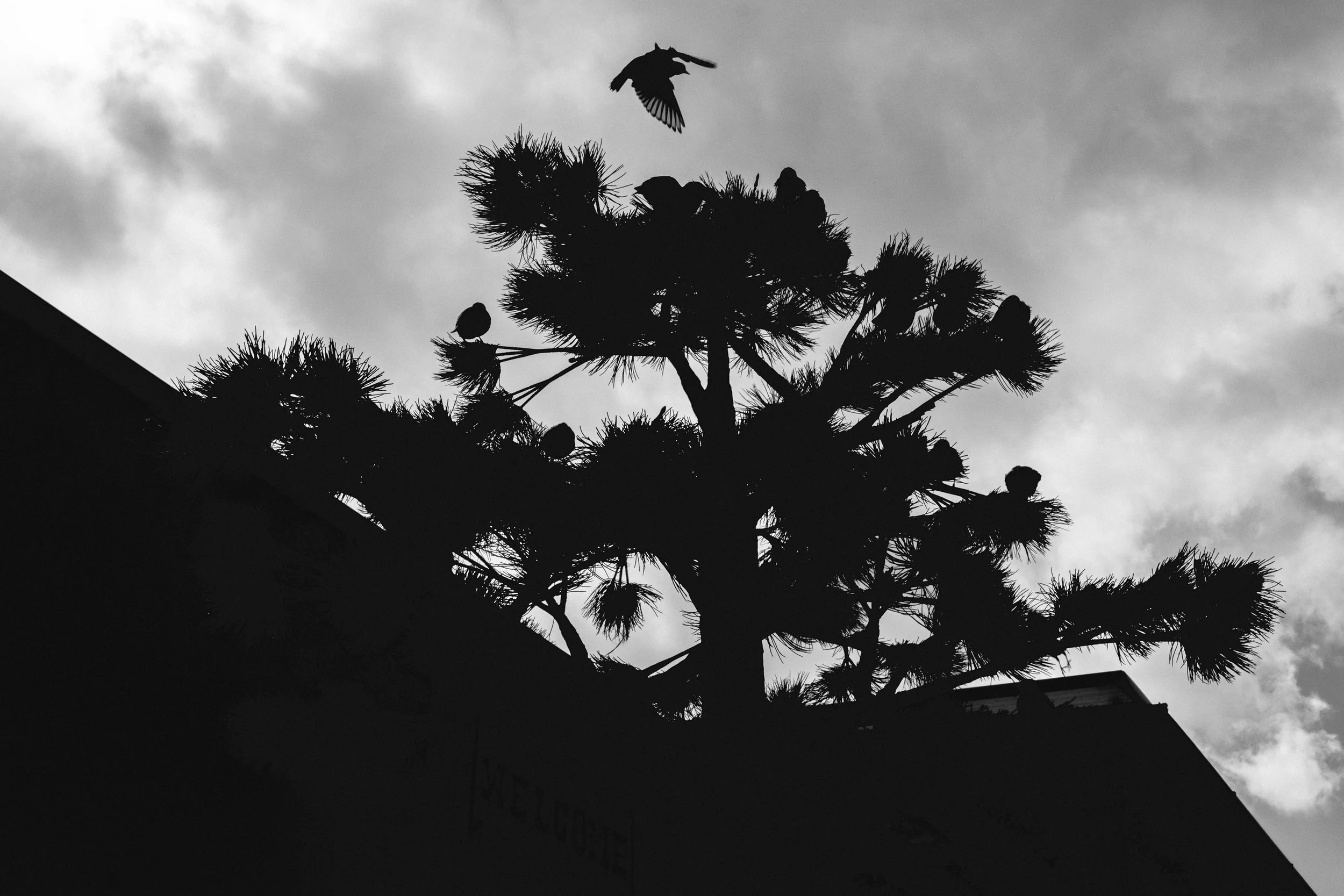 Seaburn 31 Aug 25 Web-Res Edits-11.jpg