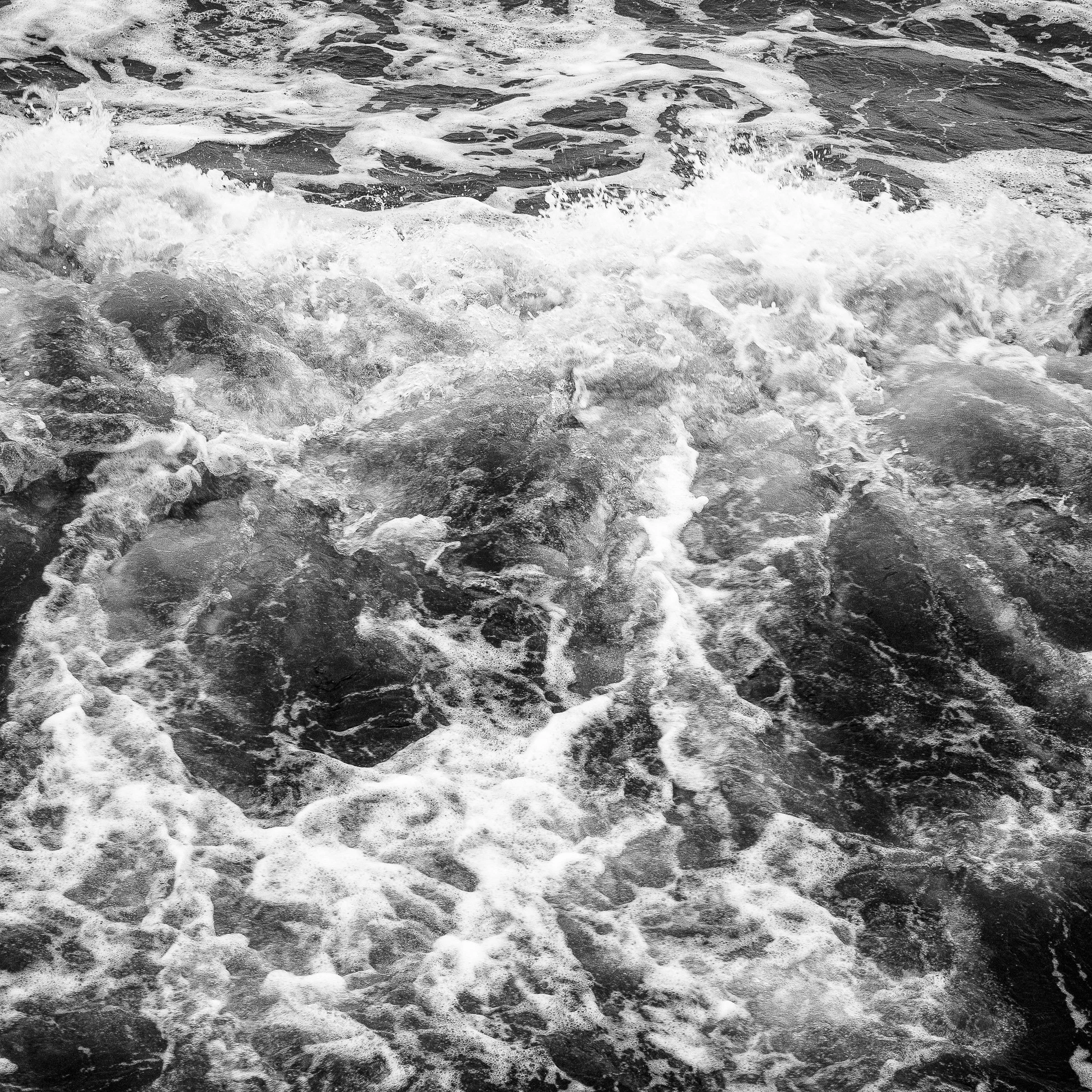 In Contrast JPEG-1.jpg