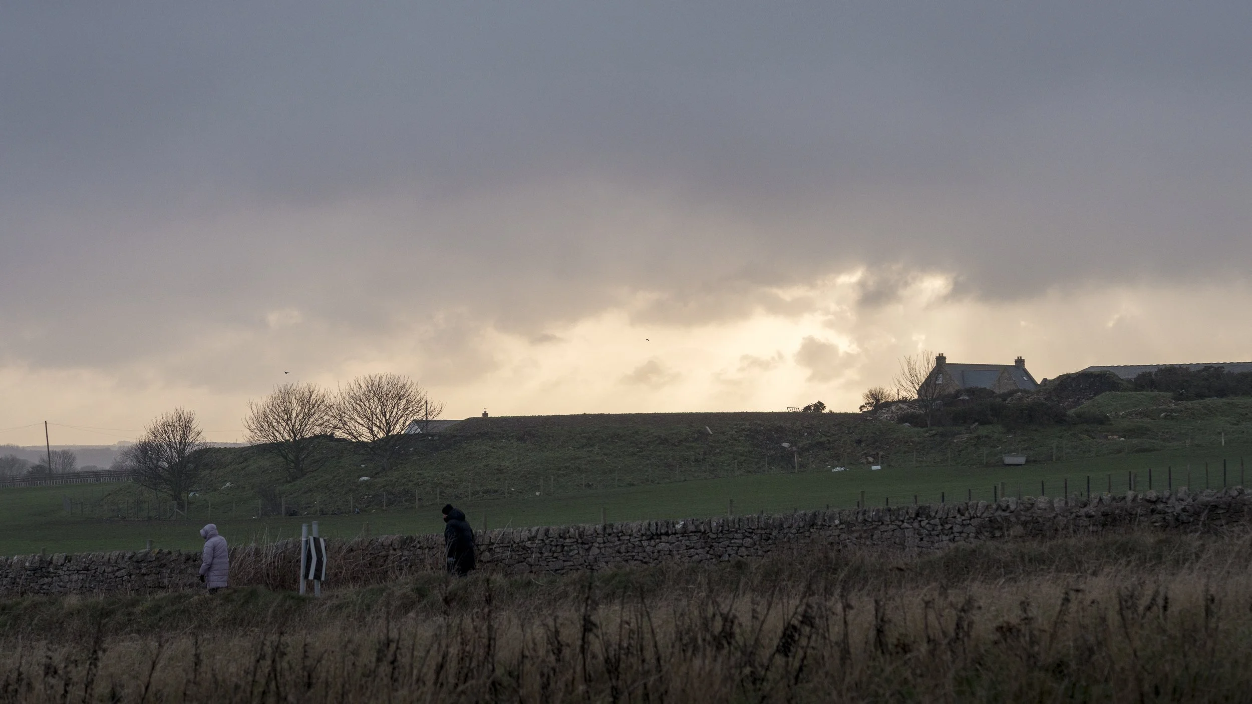 Whitburn 24th Jan 26-6.jpg