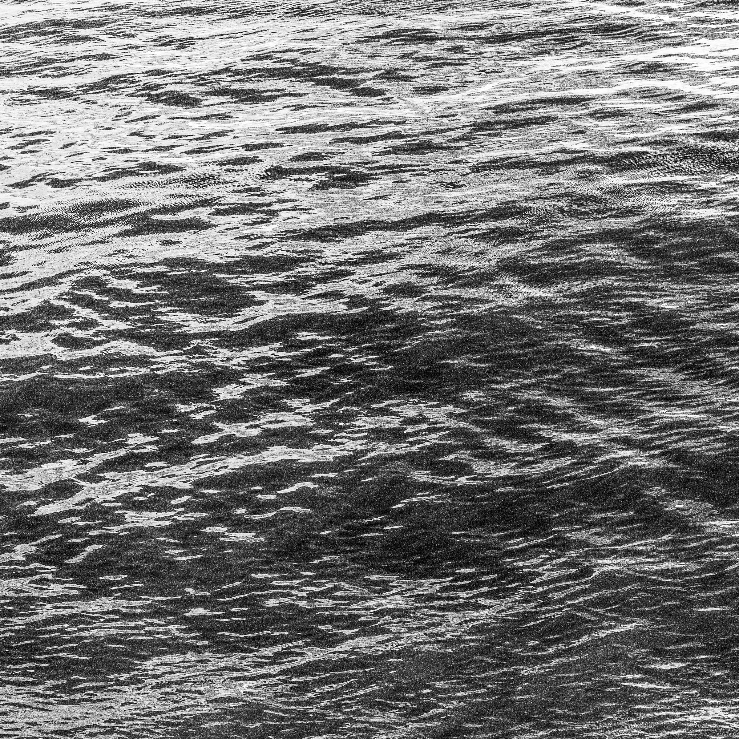 In Contrast JPEG-6.jpg