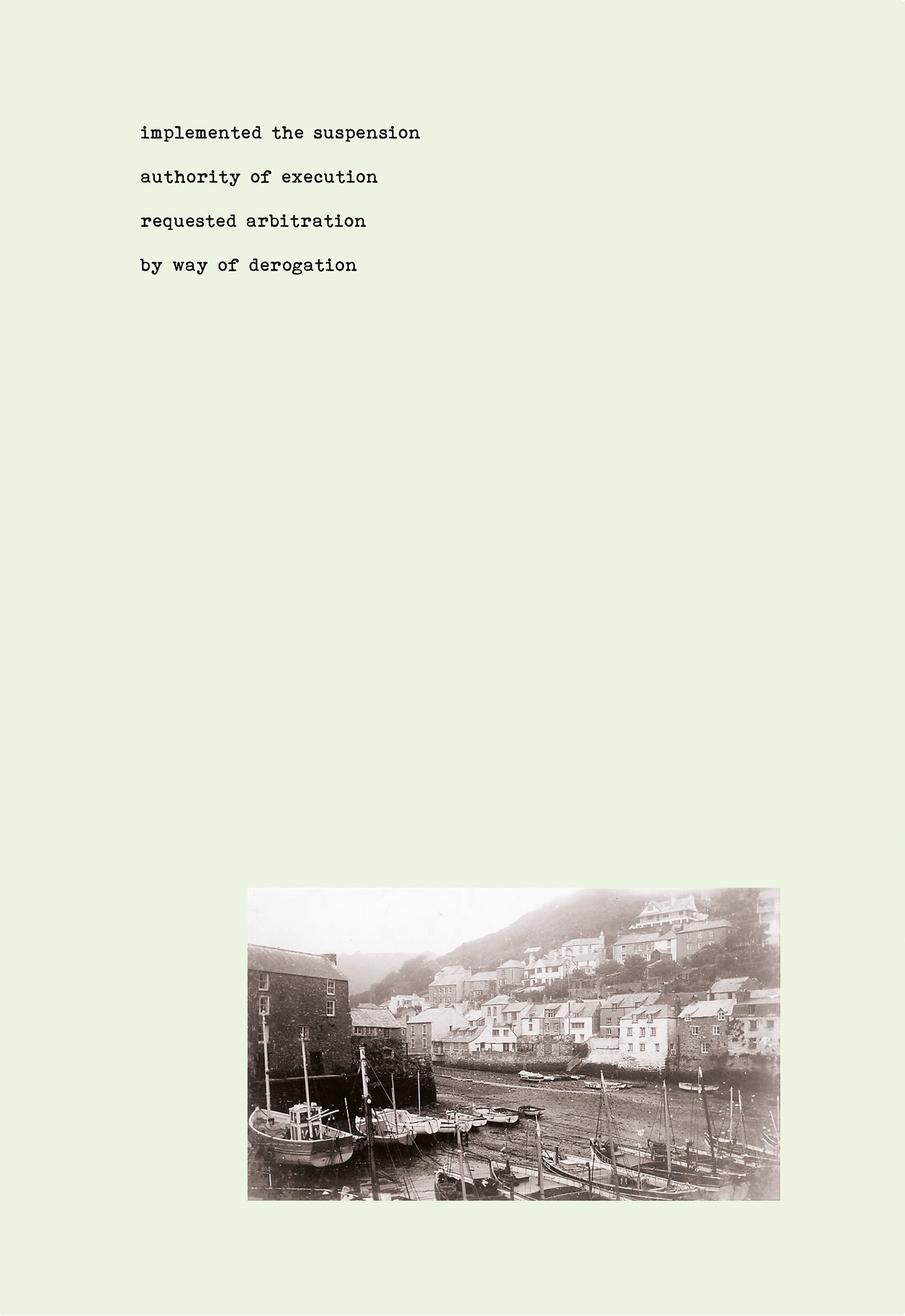 Iam Burn - Lion Image 10.jpg