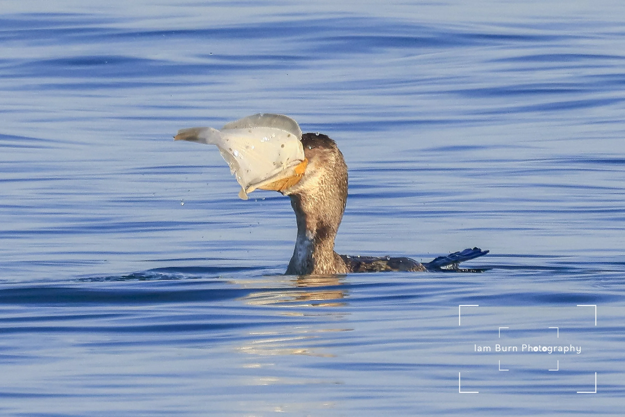 Seaburn 27 Dec 24-11.jpg