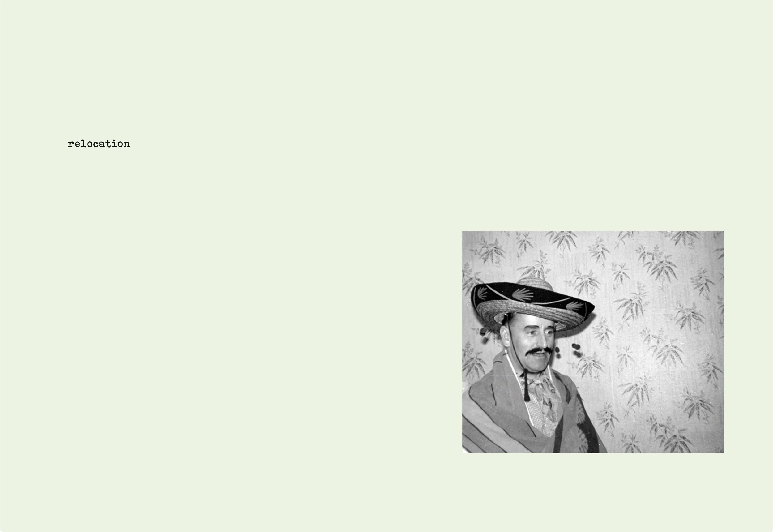 Iam Burn - Lion Image 7.jpg