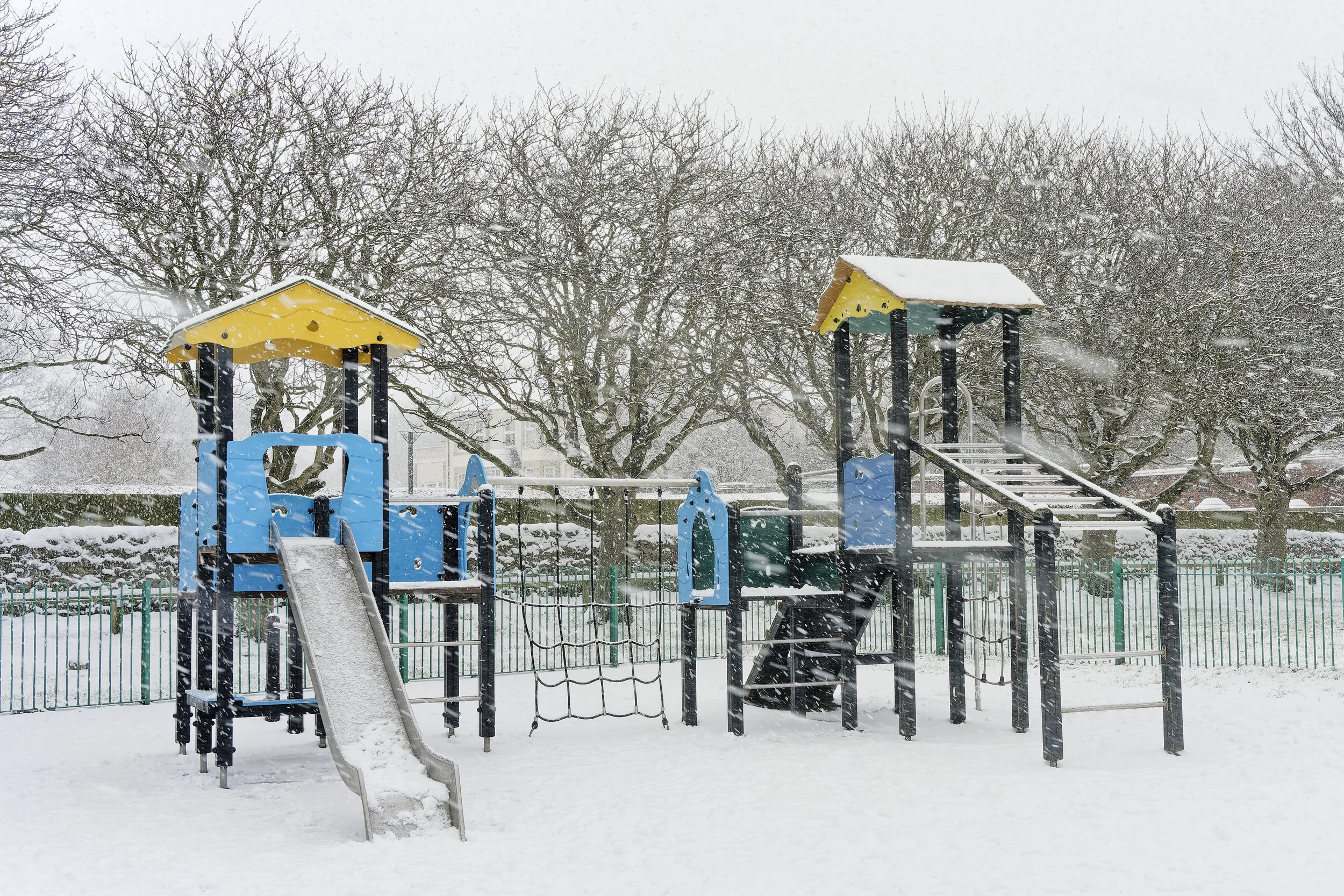 First Wander of 2026