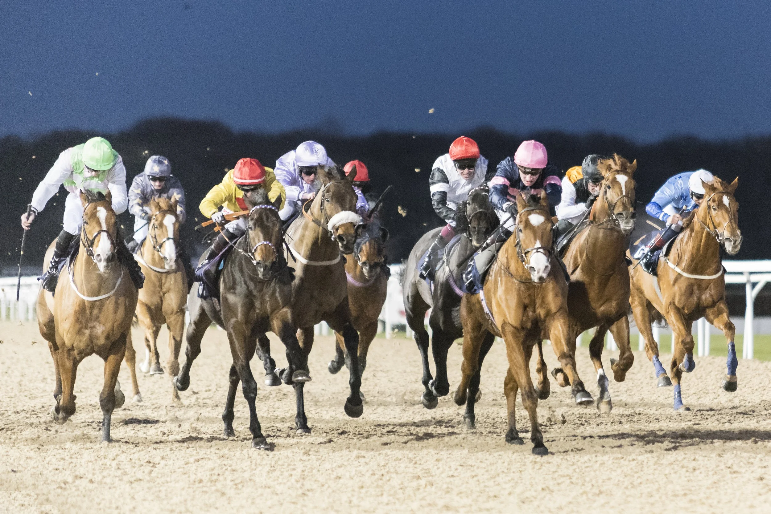 Newcastle Races 16th Dec 2017-13.jpg