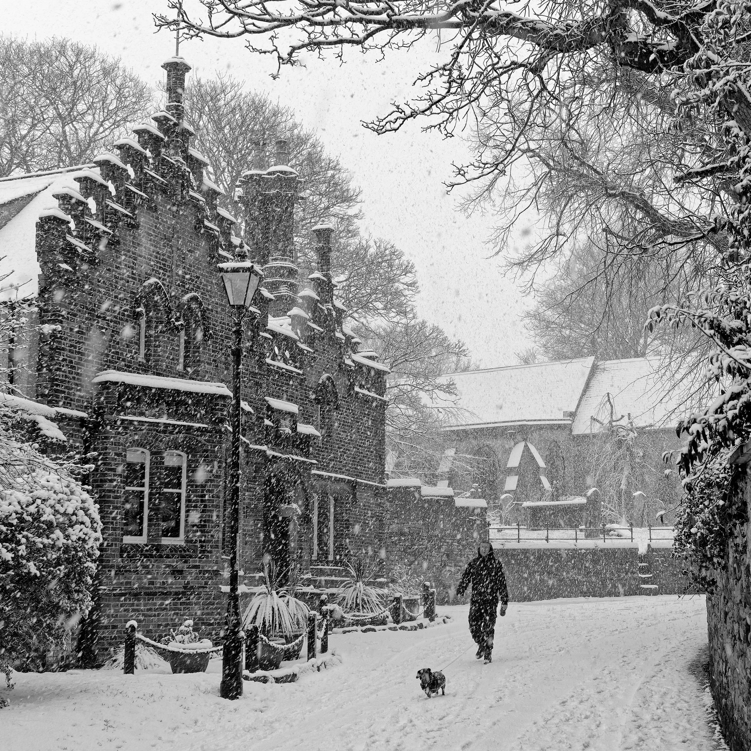 _IAB0294Edit2 Jpeg.jpg