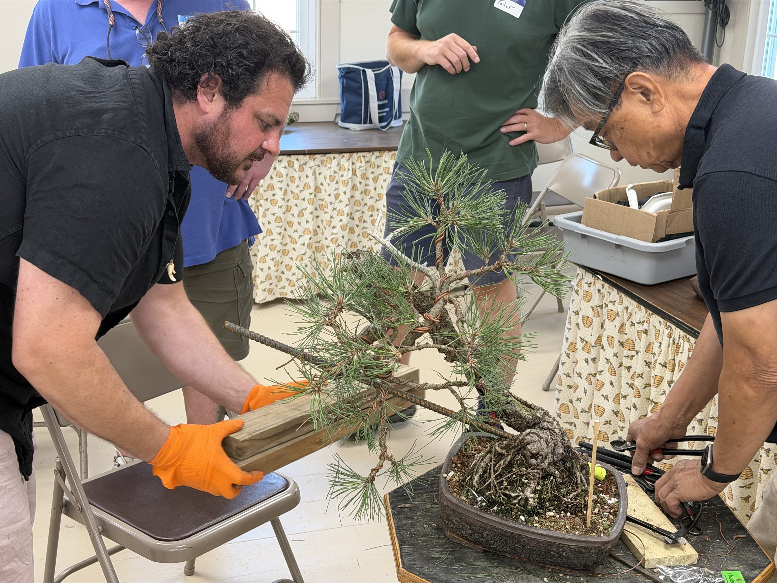 Bonsai Workshops: How to get the most out of your experience