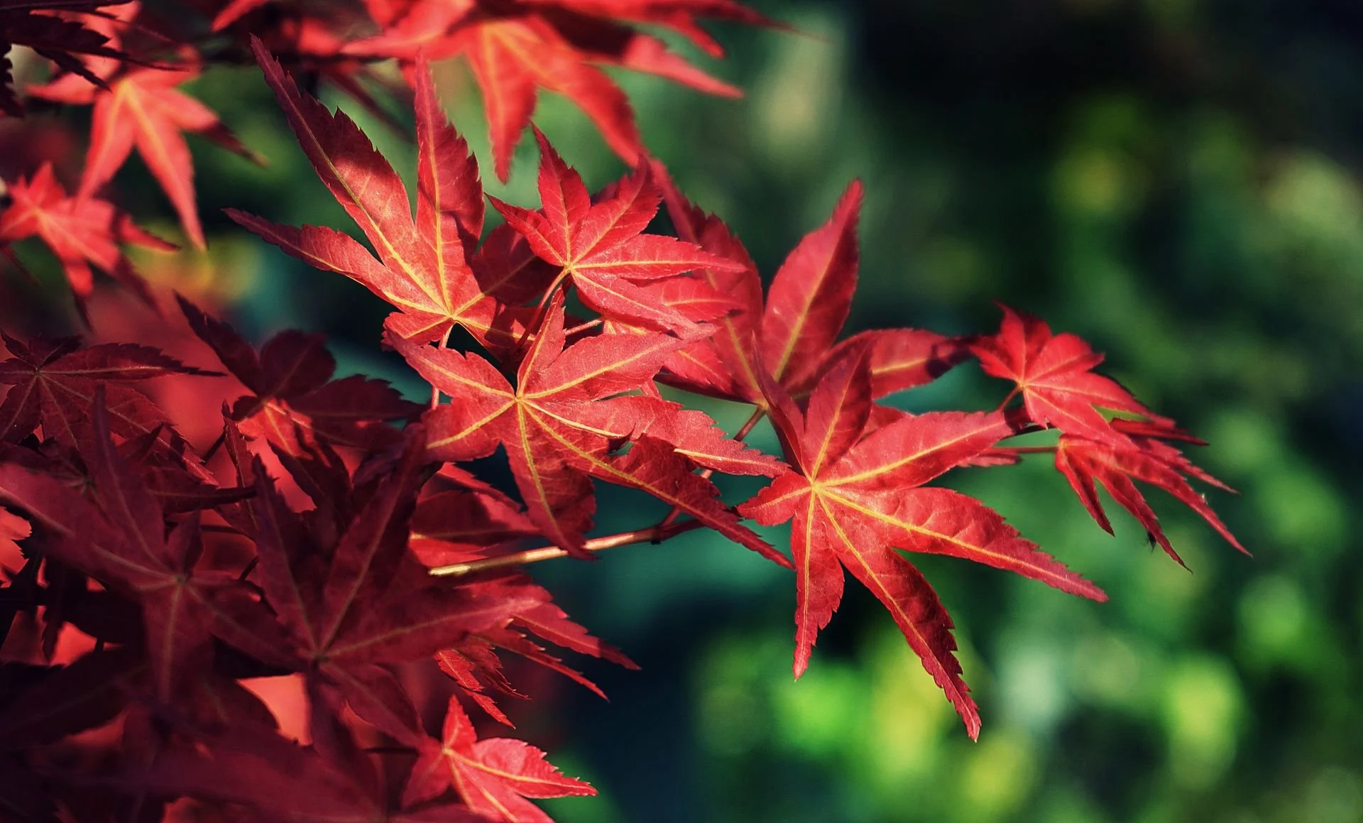 October Care