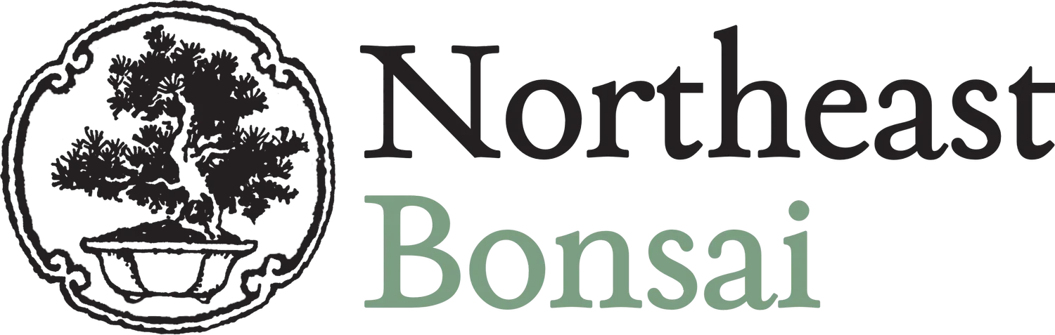 Northeast Bonsai Association