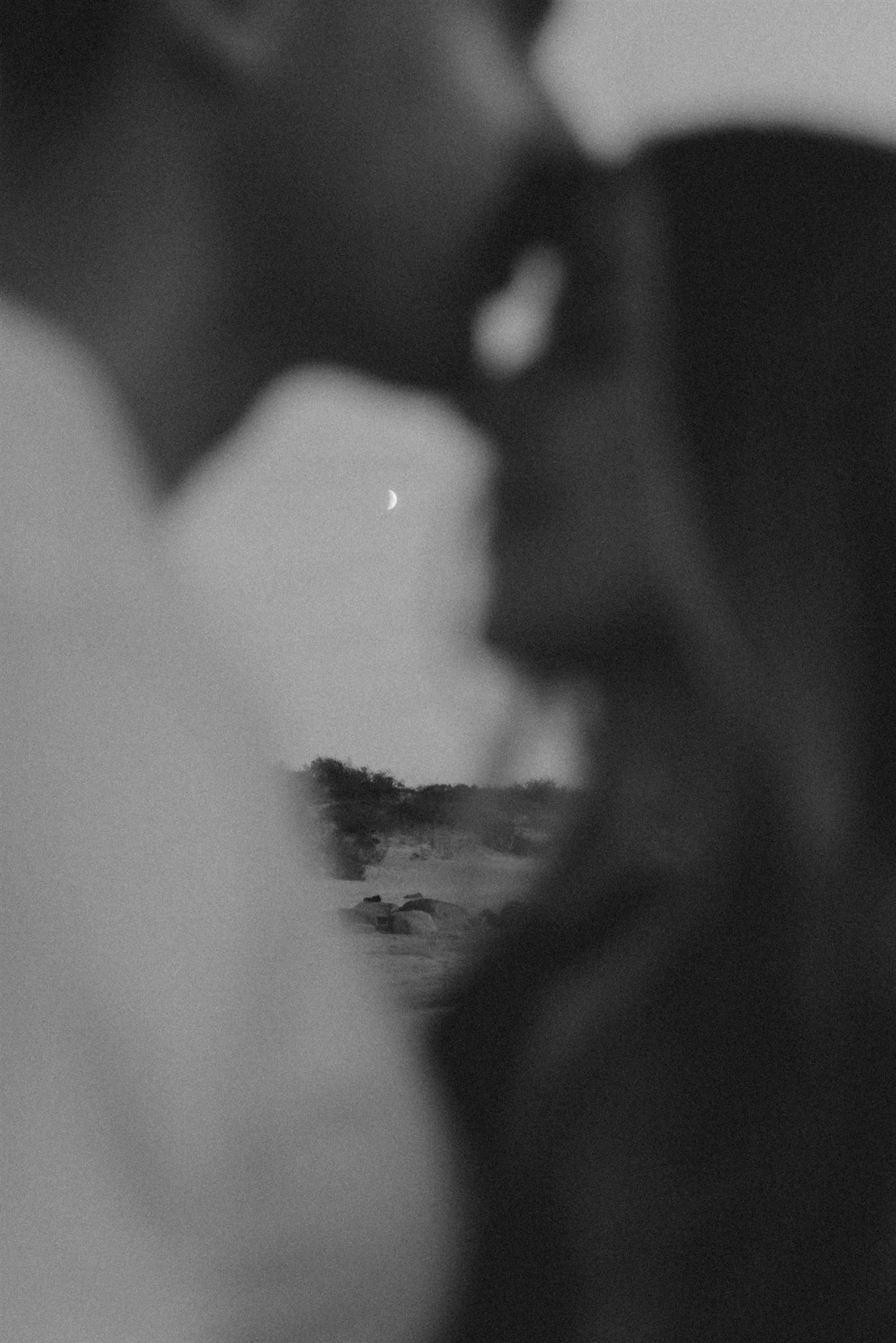 Black and white photo of a couple kissing, with a visible crescent moon in the sky and trees and tents in the background.