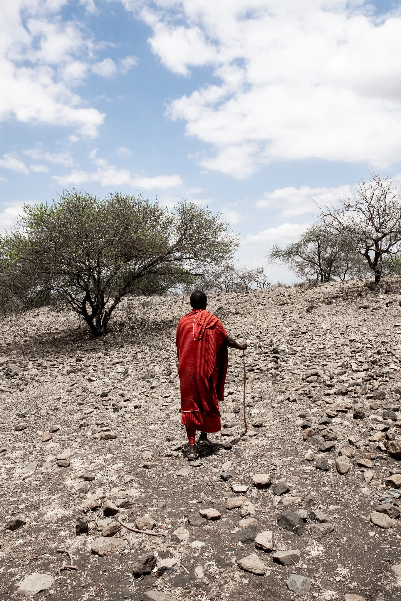 A maasai tribal member hikes the rugged terrain in Tanzania