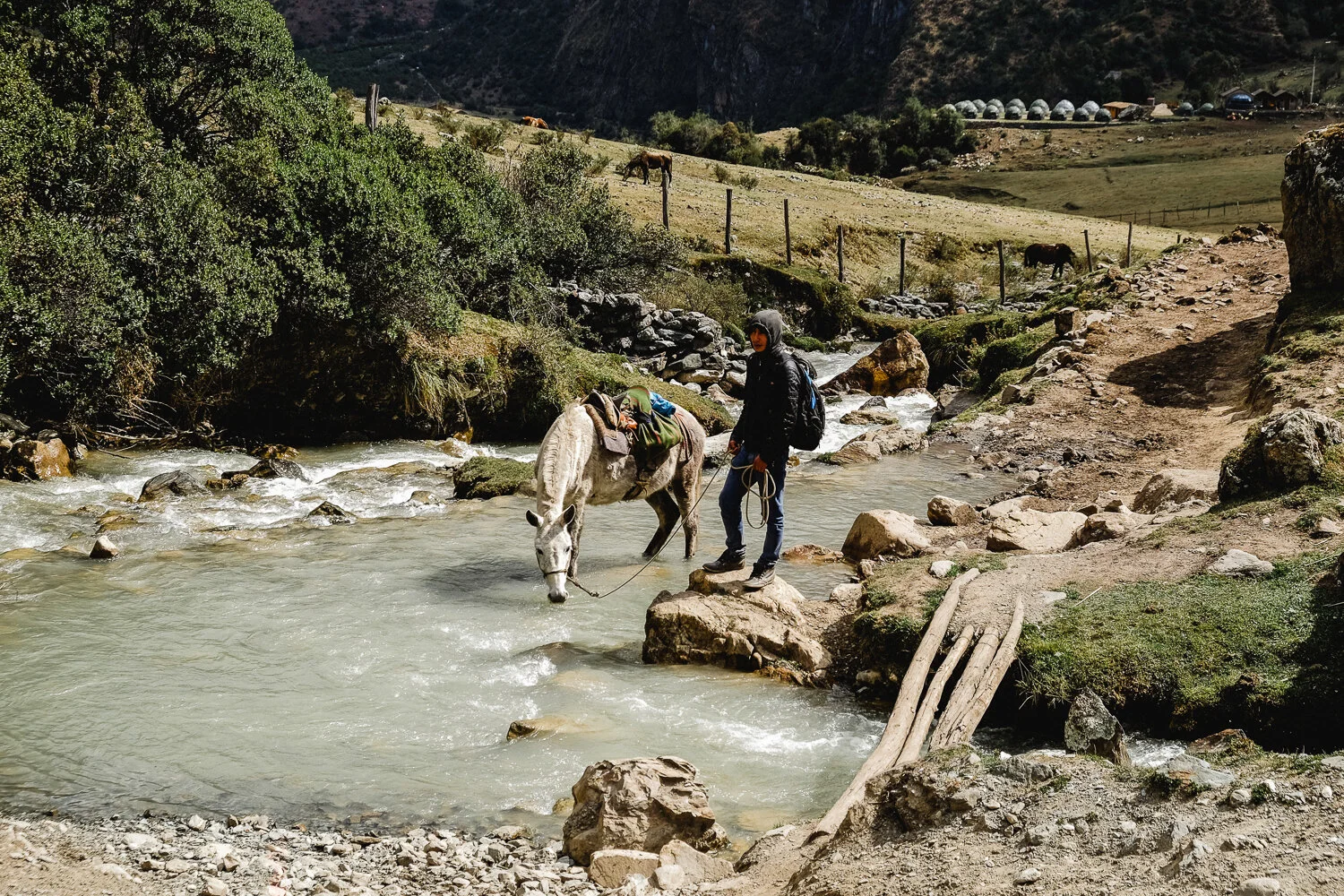 A Quechua male in a black jacket and hat stands on a rock in a stream in Peru, holding a white horse with a pack on its back, in a mountainous landscape with trees, rocks, and a dirt path.