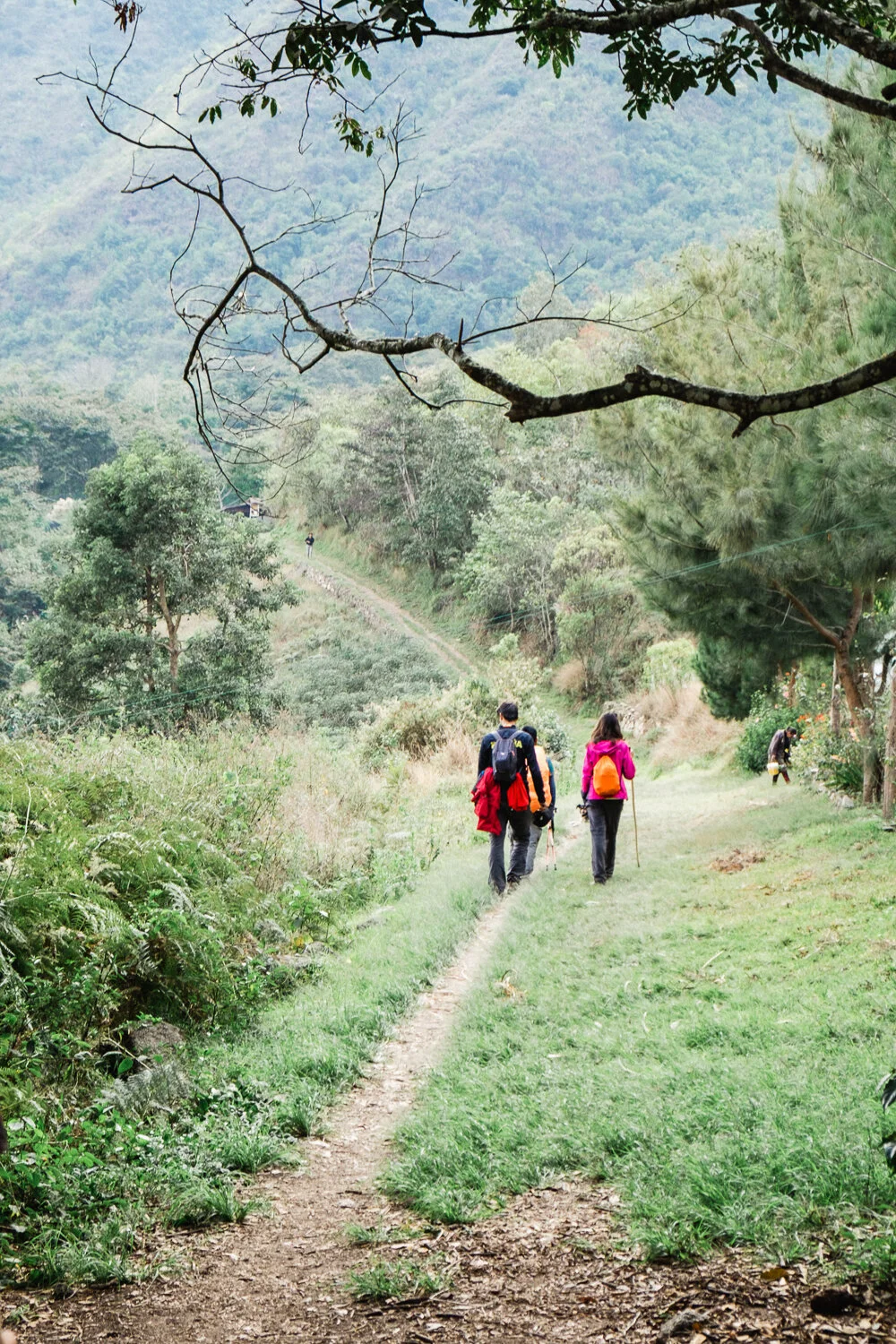 Hikers walking along a trail in a lush green mountainous forest.