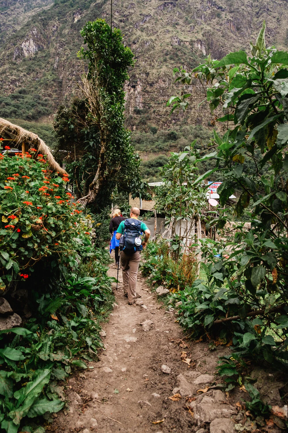 Hikers walking on a dirt trail surrounded by lush green plants and trees in a mountainous area.