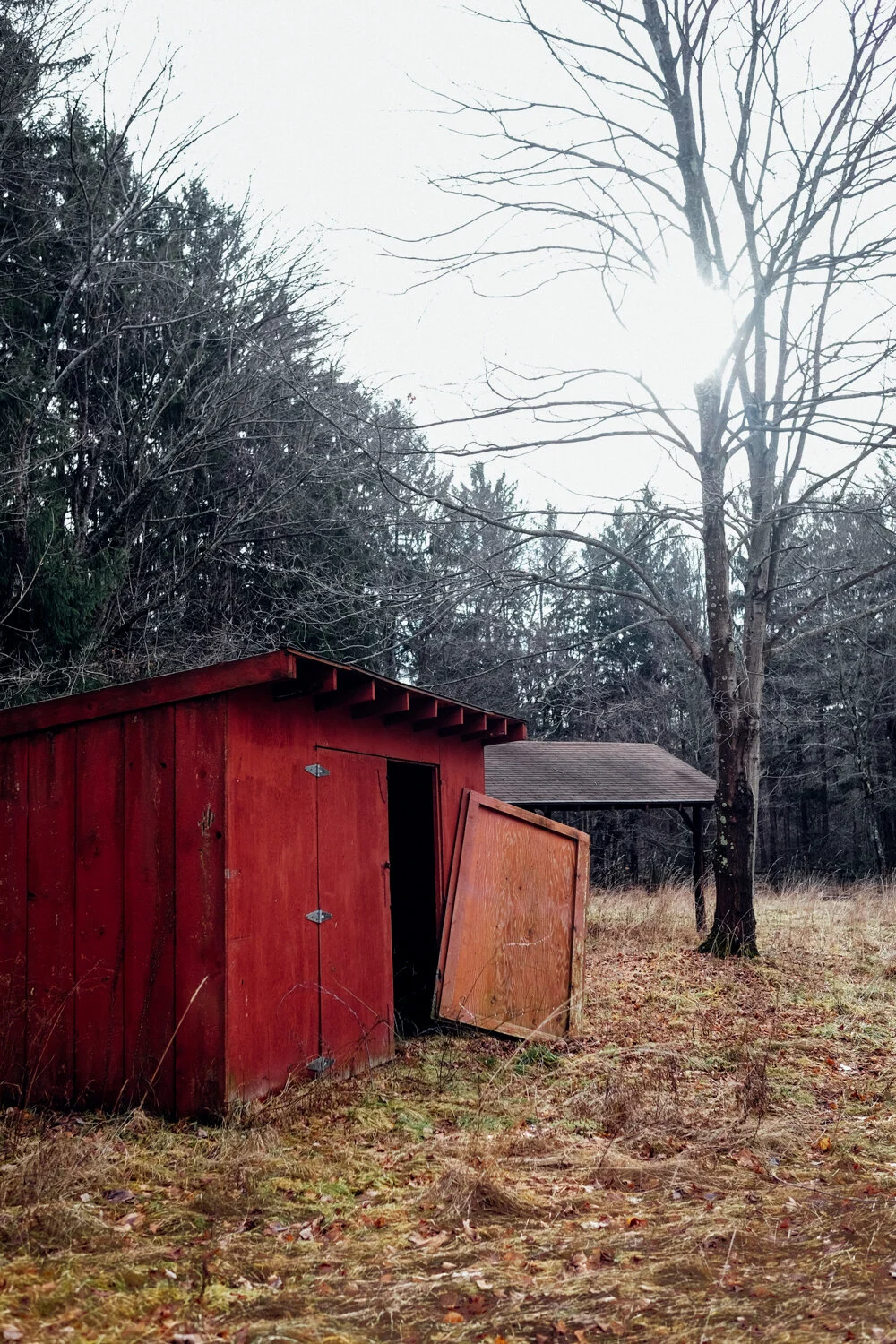 Former campsite now abandoned