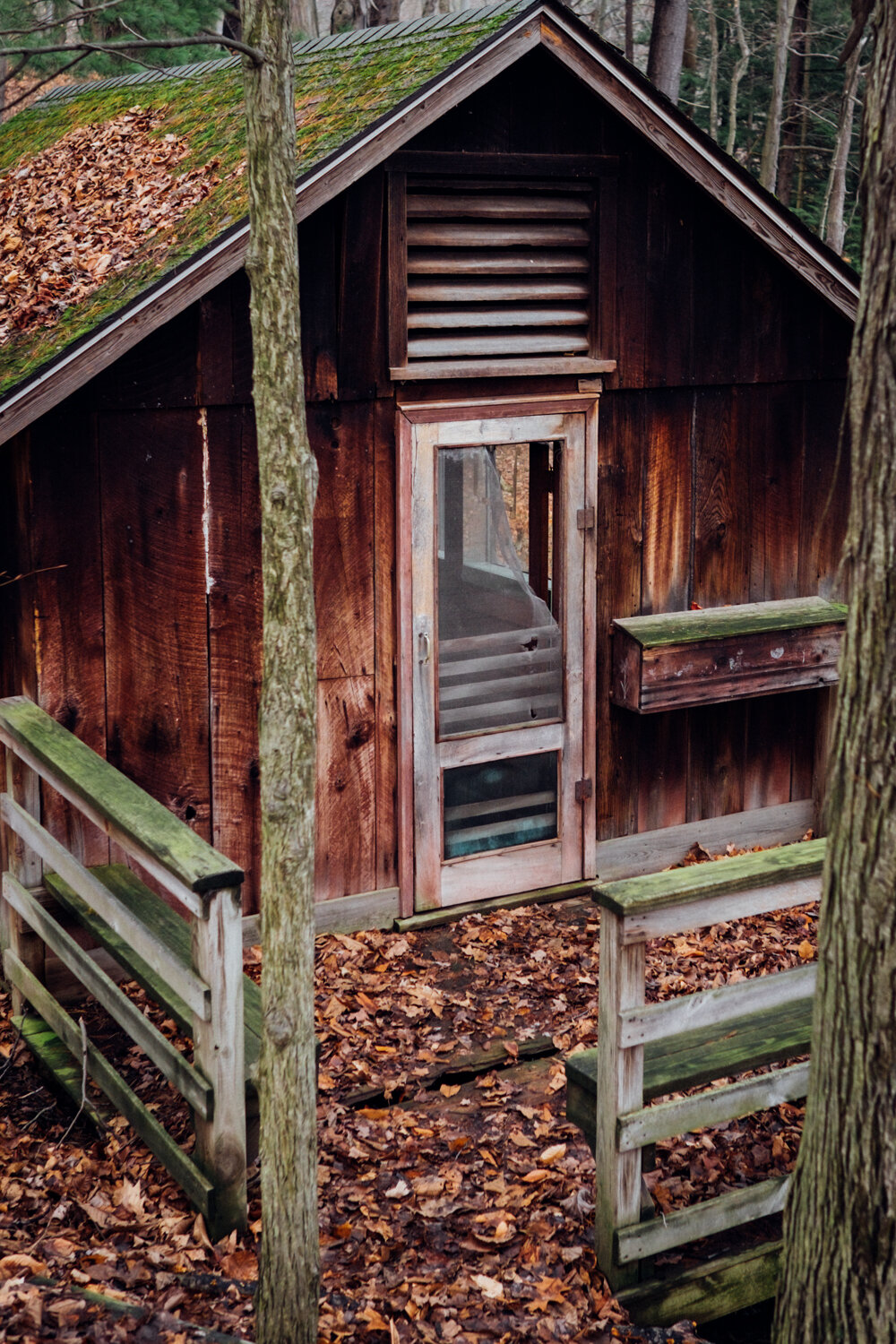 A small wooden cabin surrounded by trees and fallen autumn leaves, with a screened door, a small window, and a moss-covered roof.