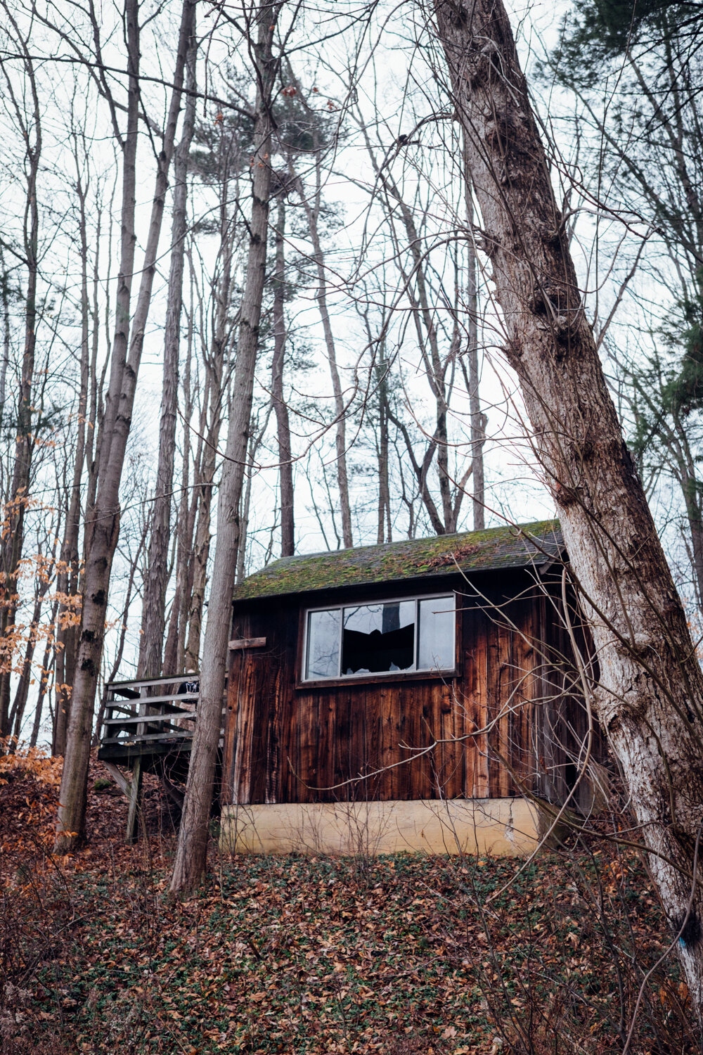 A wooden house in a forest with bare trees, broken window, and a deck on the left side.