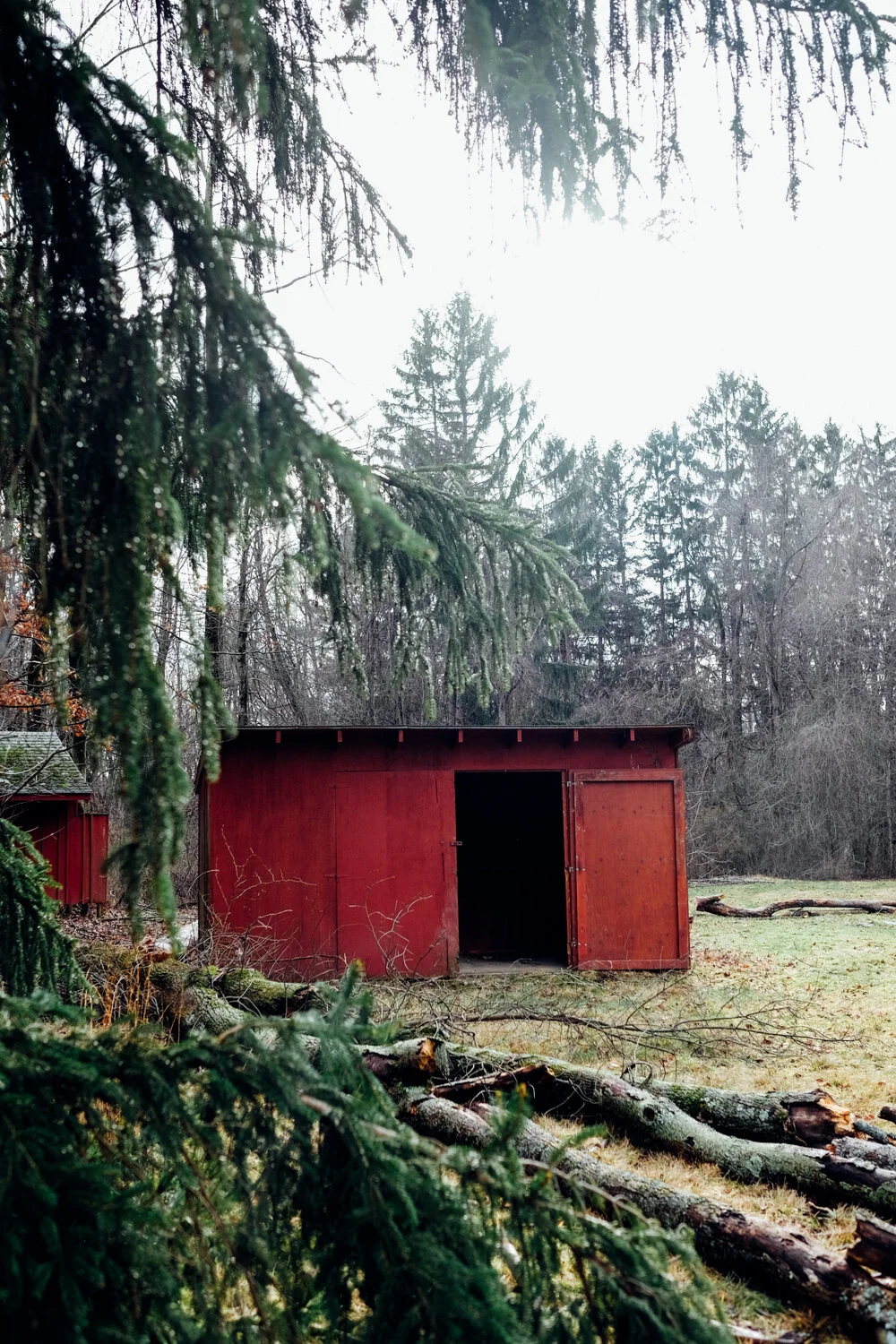 An old red abandoned shed is set against a foggy scene