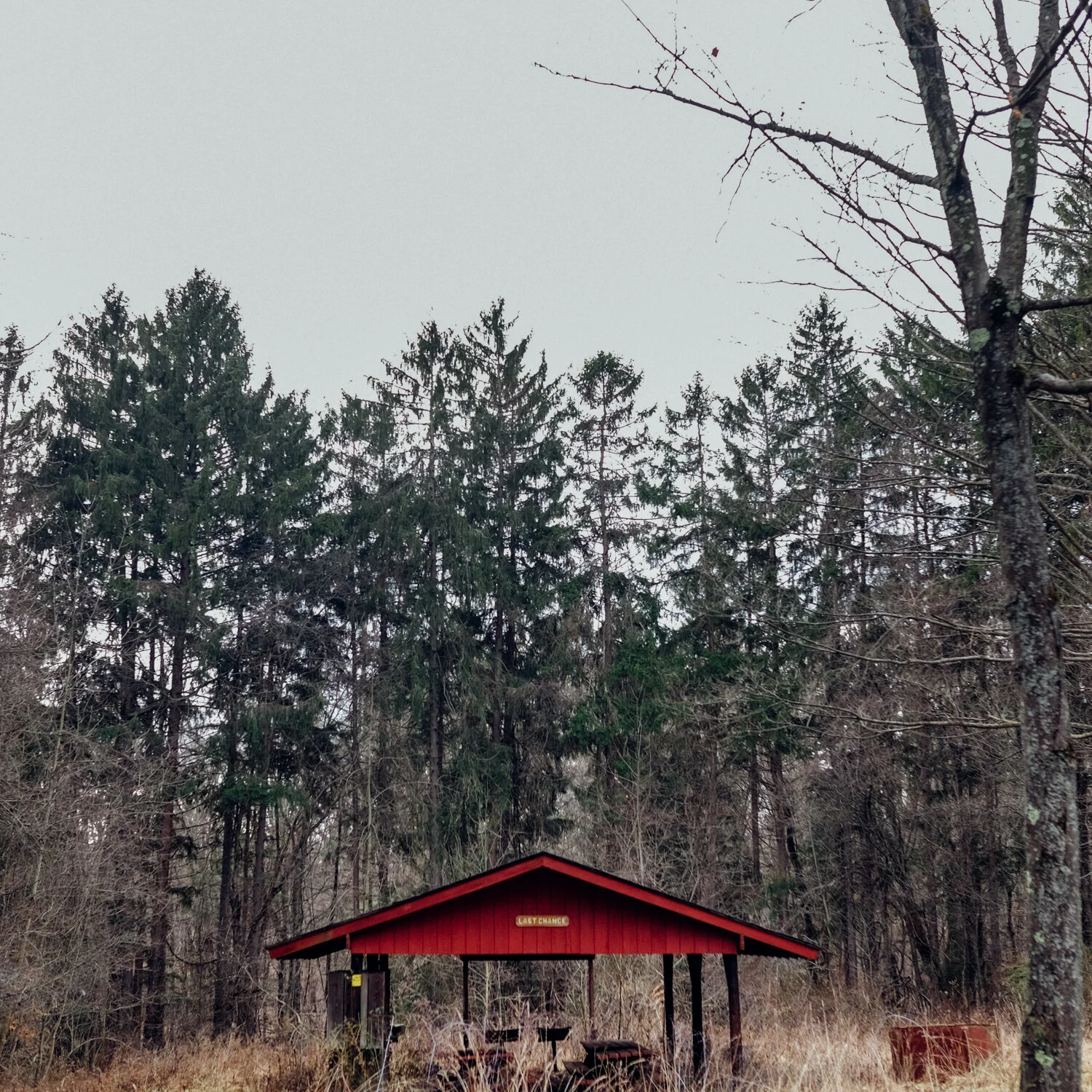 This old picnic shelter is being restored as part of a larger initiative by a historical society