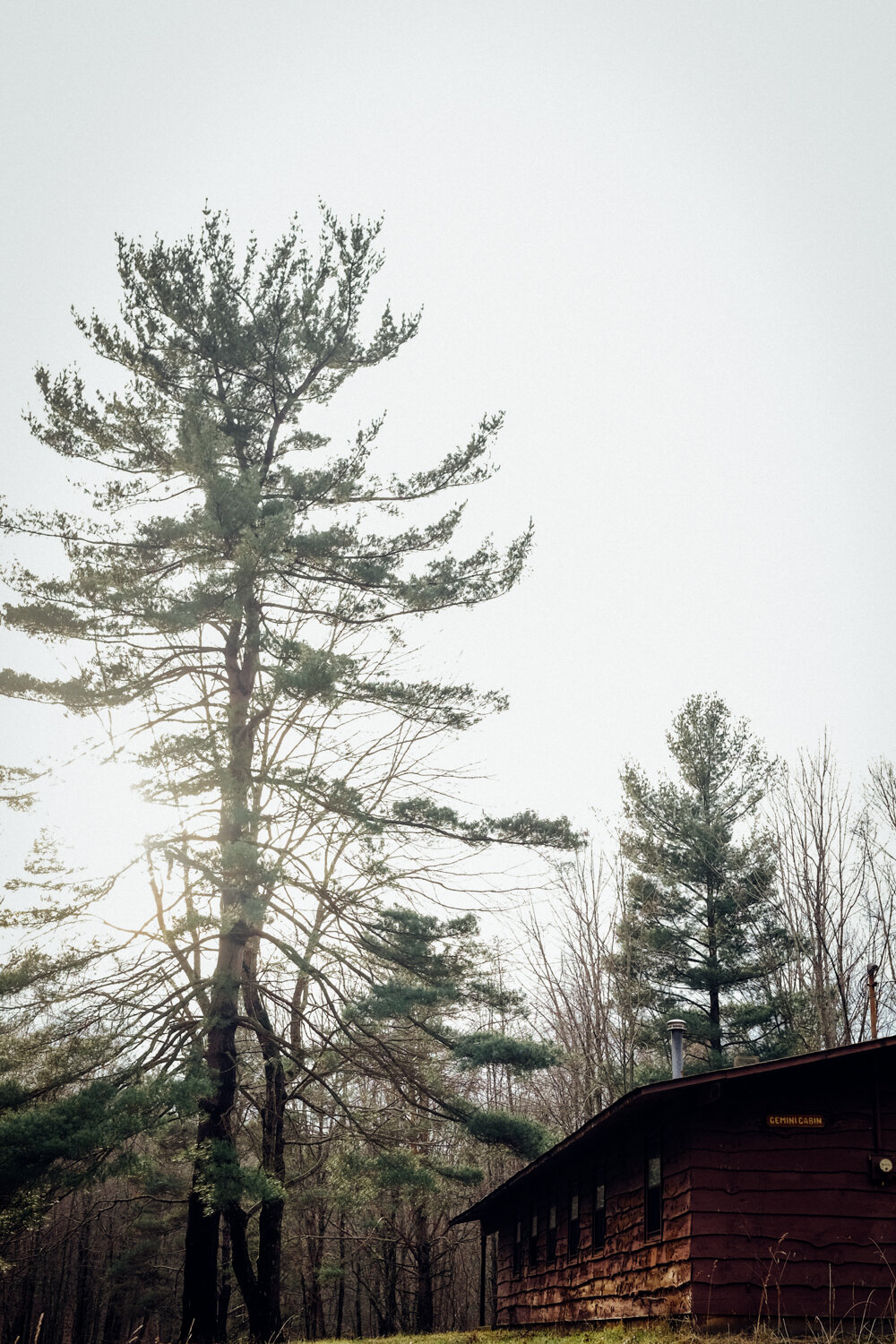 A cabin with a sign reading 'Gemini Cabin' is situated in the woods, surrounded by tall pine trees with a cloudy or overcast sky overhead.
