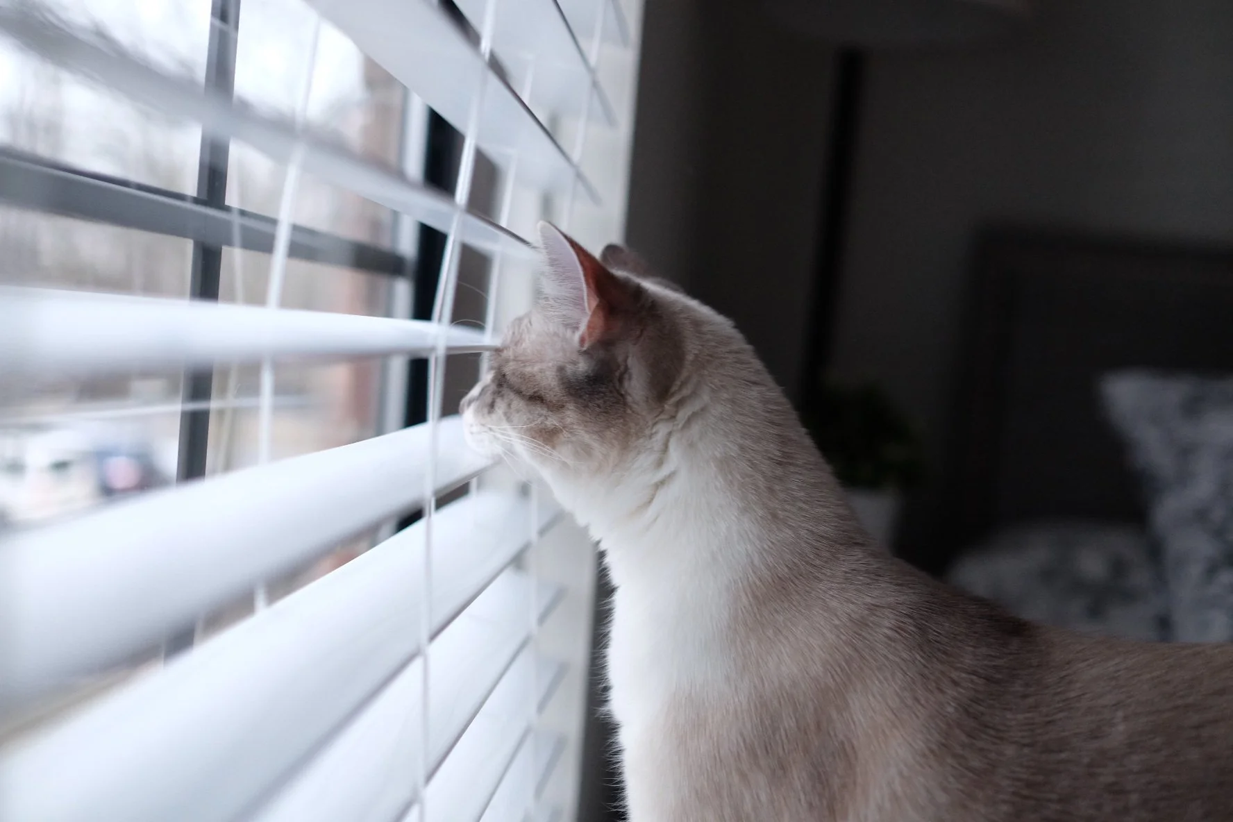 5 Things That Will Happen when you Assert Your Boundaries