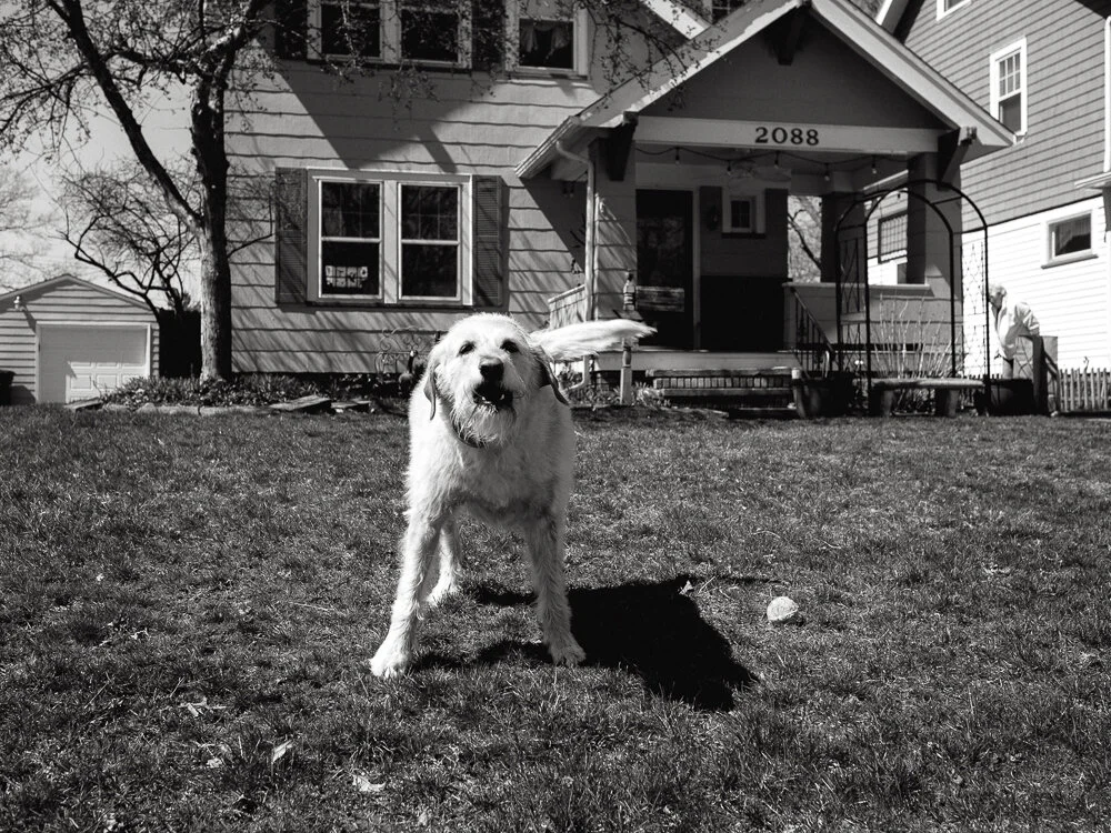 Business owners are sending shaming messages to others. WOOF. Your bark has a bite. We’re all feeling like dogs with a shock collar. Stuck inside with uncertainty of where the border ends. But inaction only feeds fear.