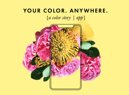 Image from A Color Story