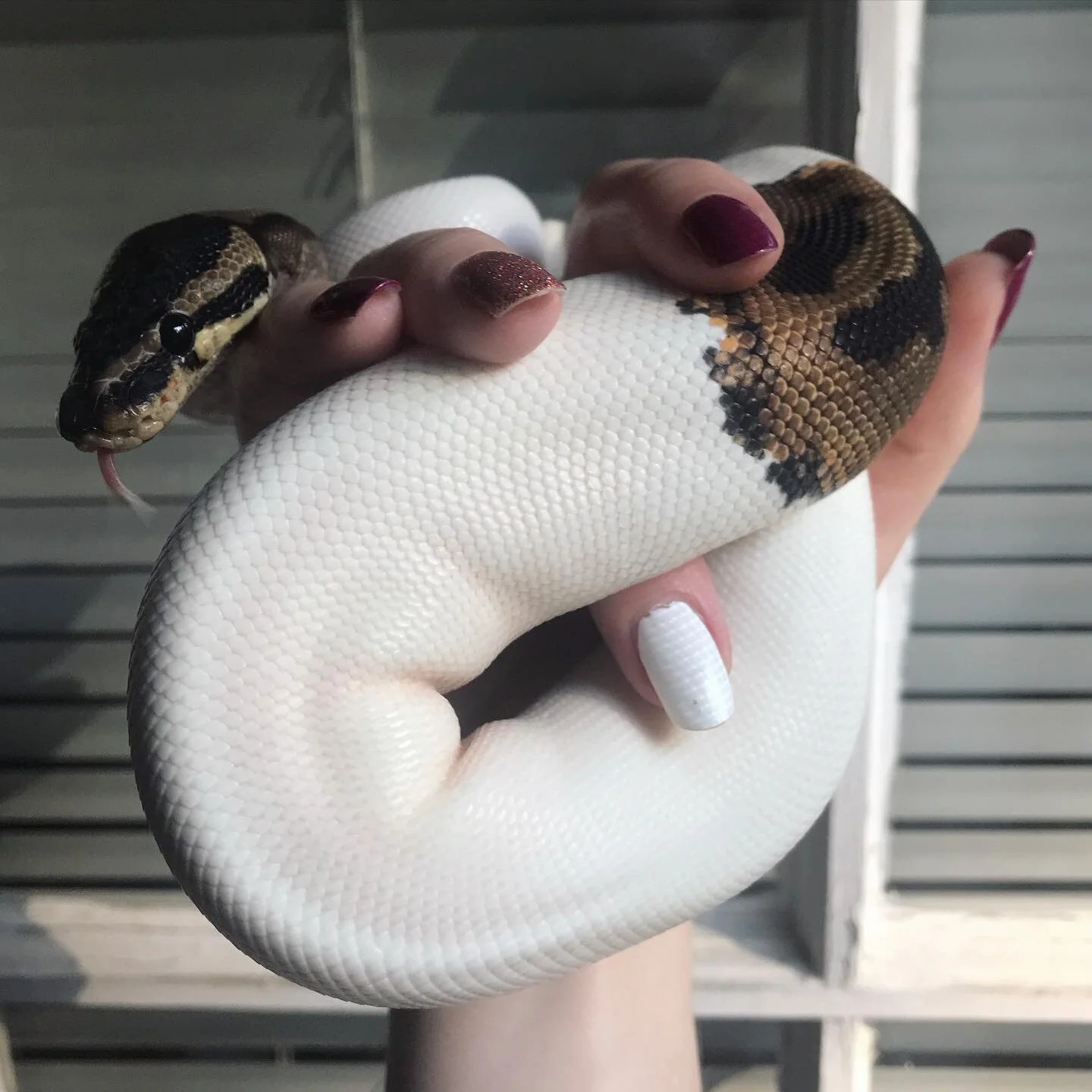 Photo courtesy of Olivia Houck.