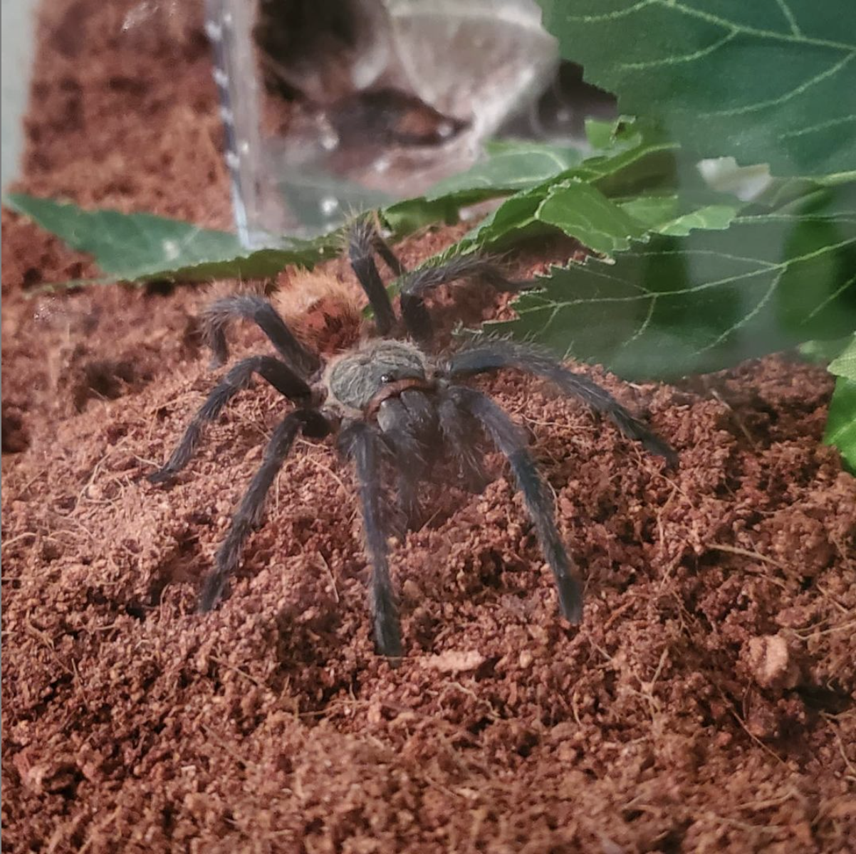 Photo courtesy of Olivia Houck