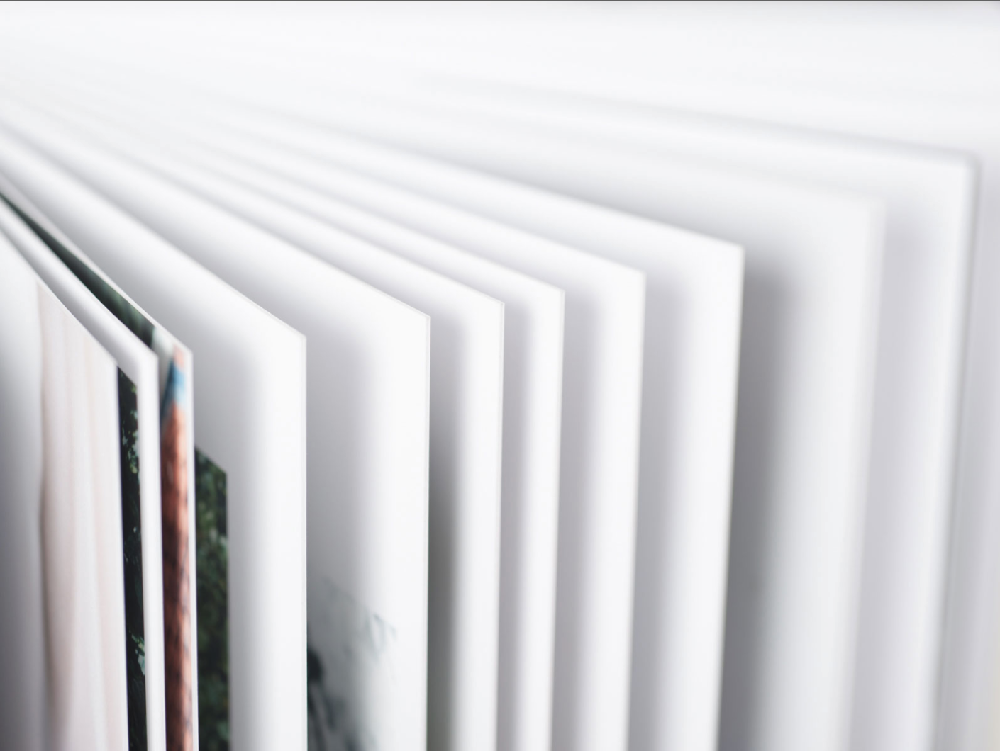 Screen Shot 2021-02-01 at 7.25.48 PM.png