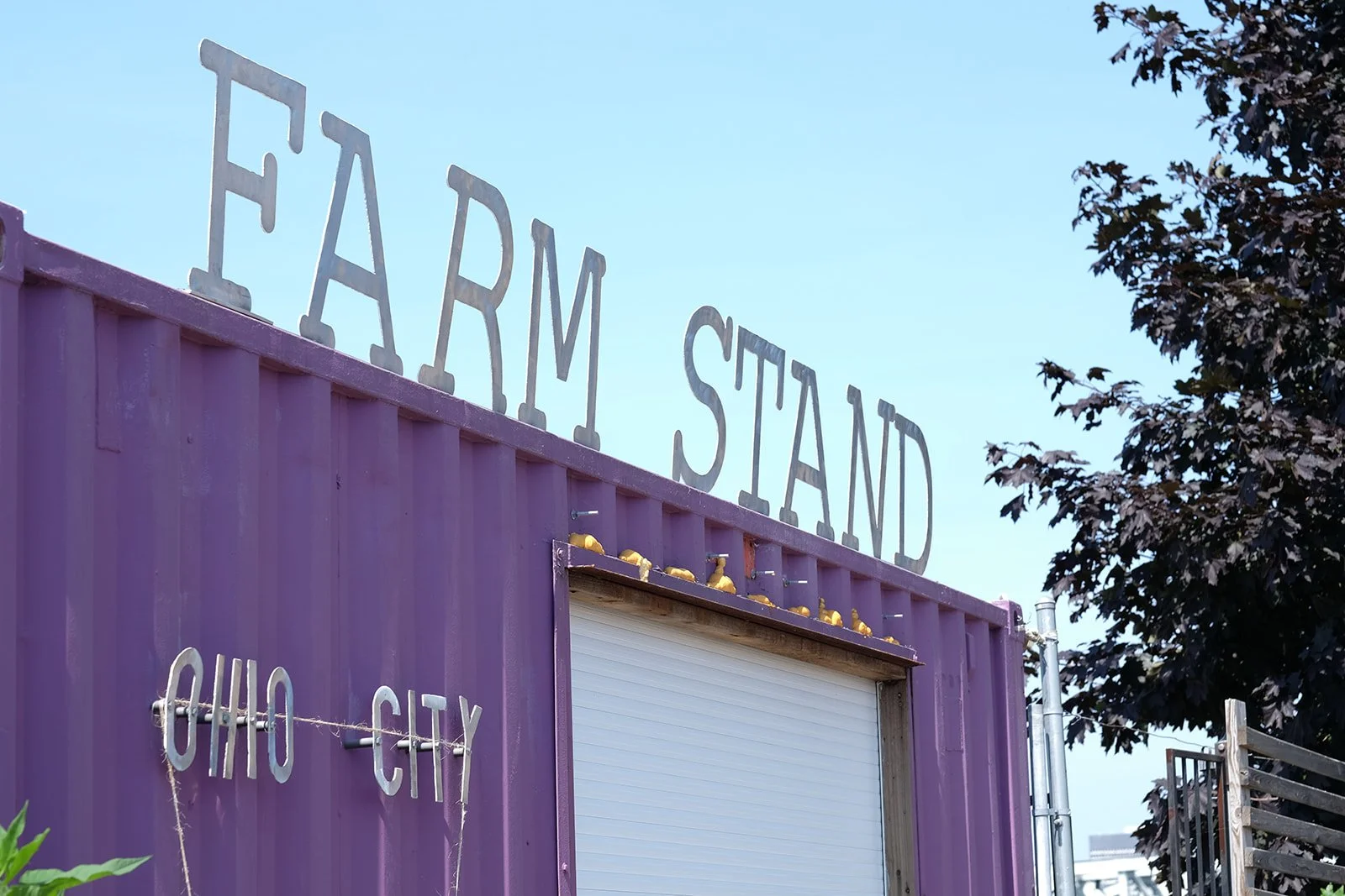 Ohio City has a shared garden where refugees can tend to their plots